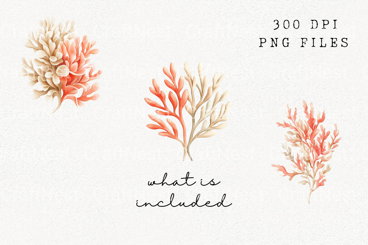 Coral Reef Clipart Bundle