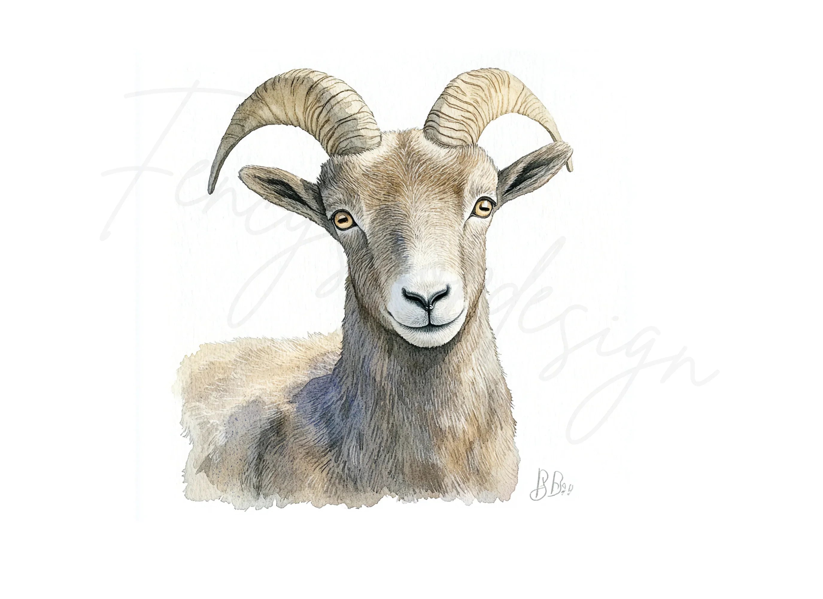 Bighorn Sheep Portrait Clipart Bundle