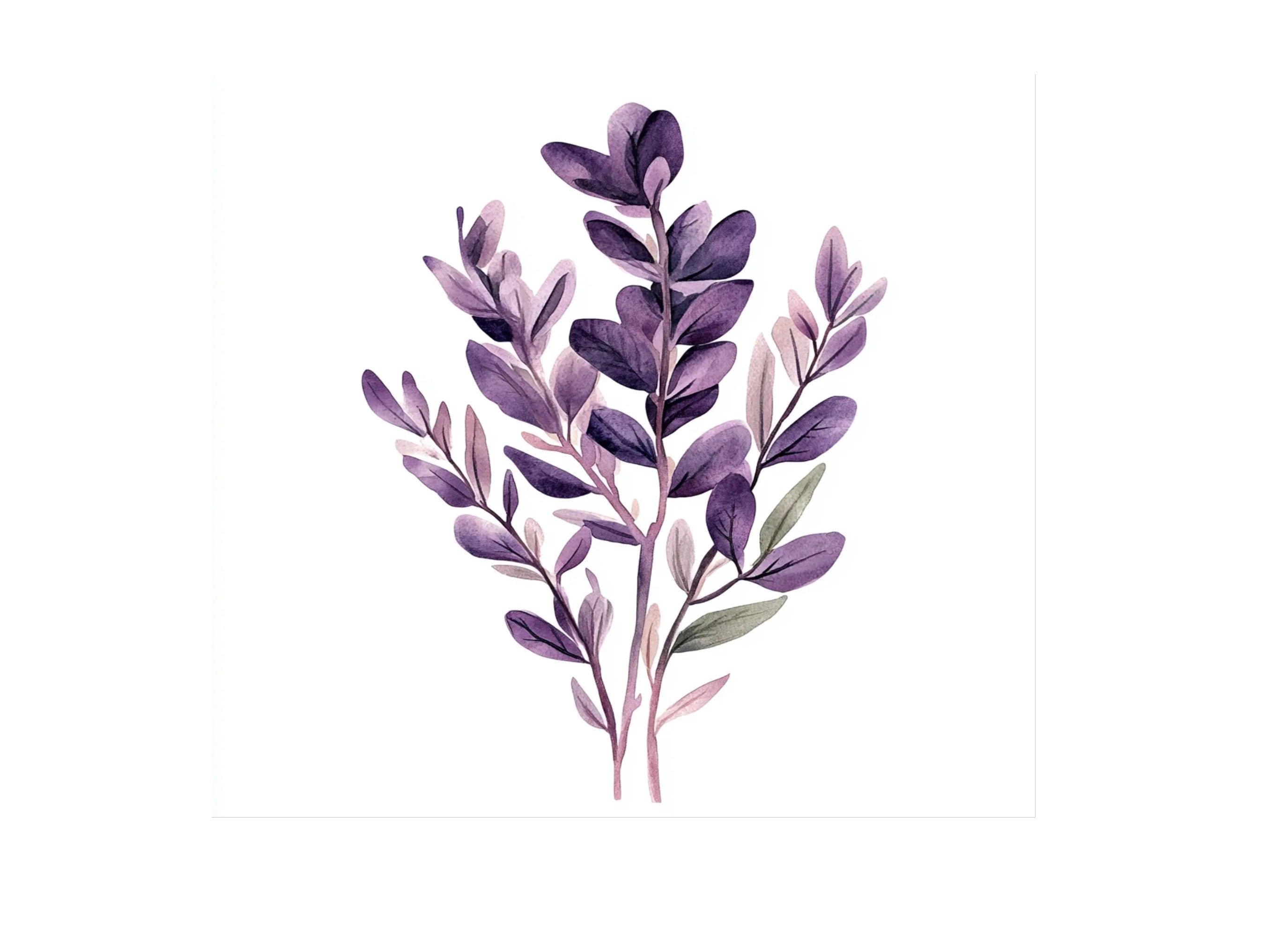 Purple Lavender Clipart Bundle