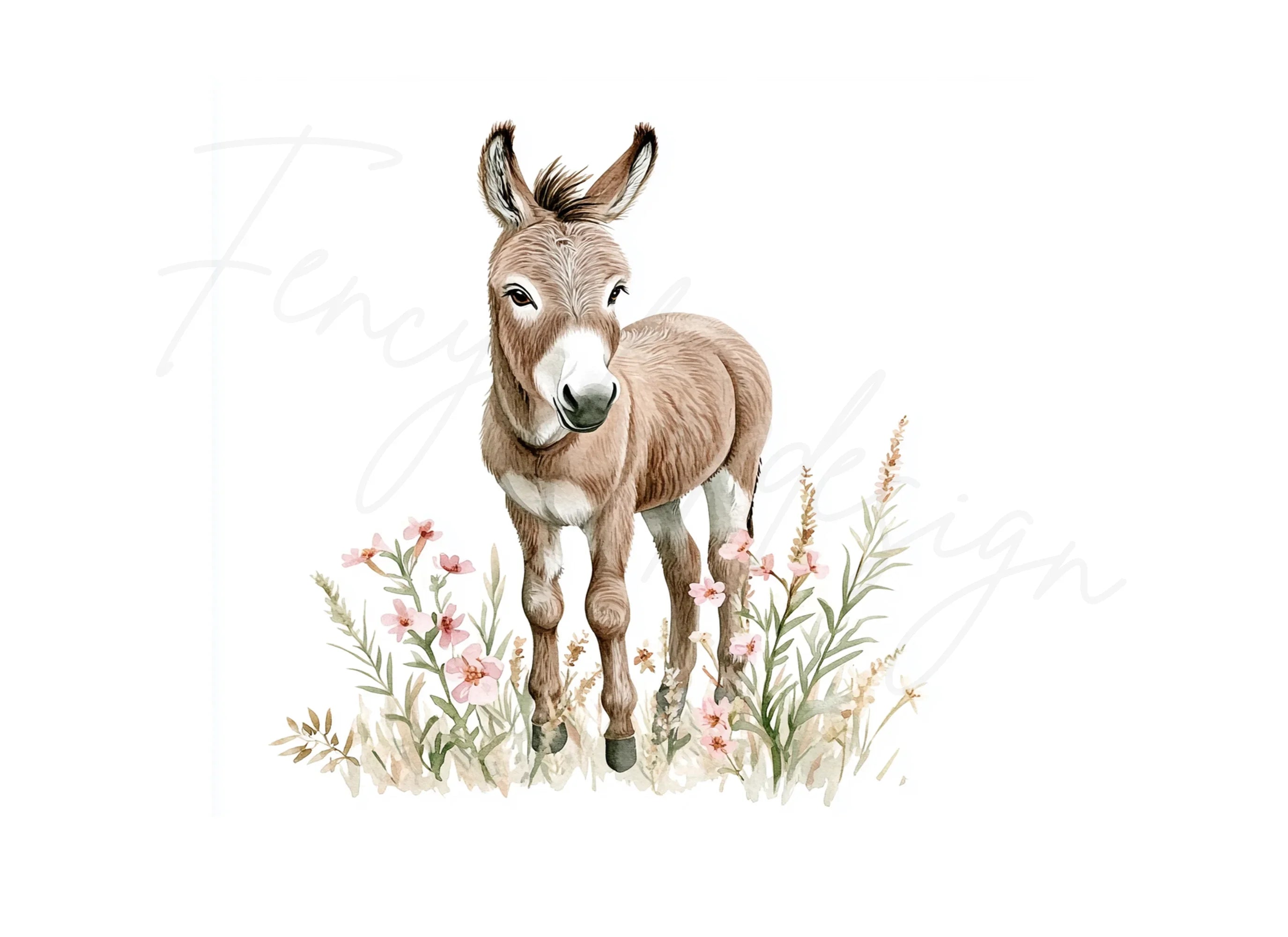 Sweet Baby Donkeys in Wildflower Fields Clipart Bundle