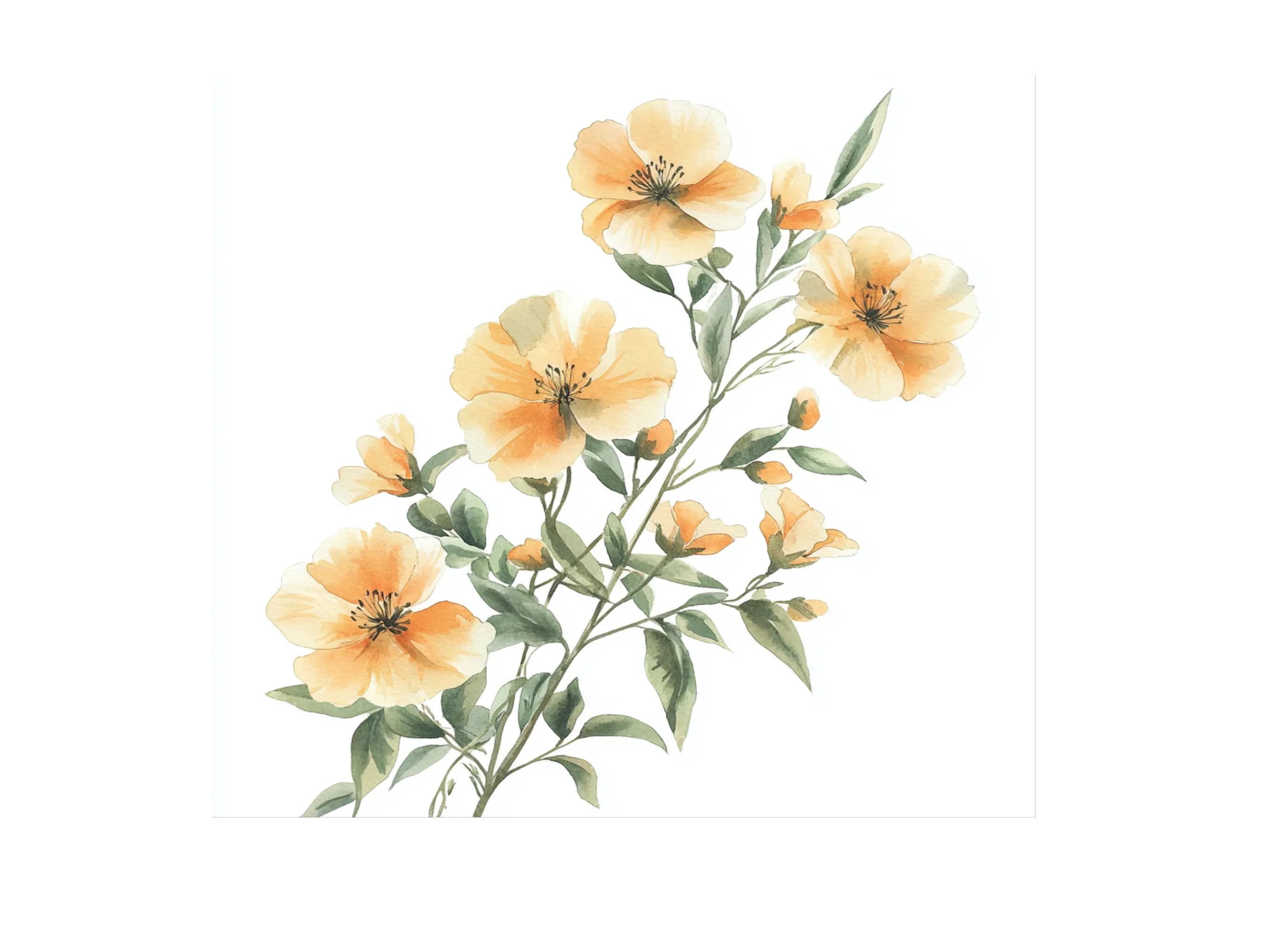 Delicate Orange Floral Clipart Bundle