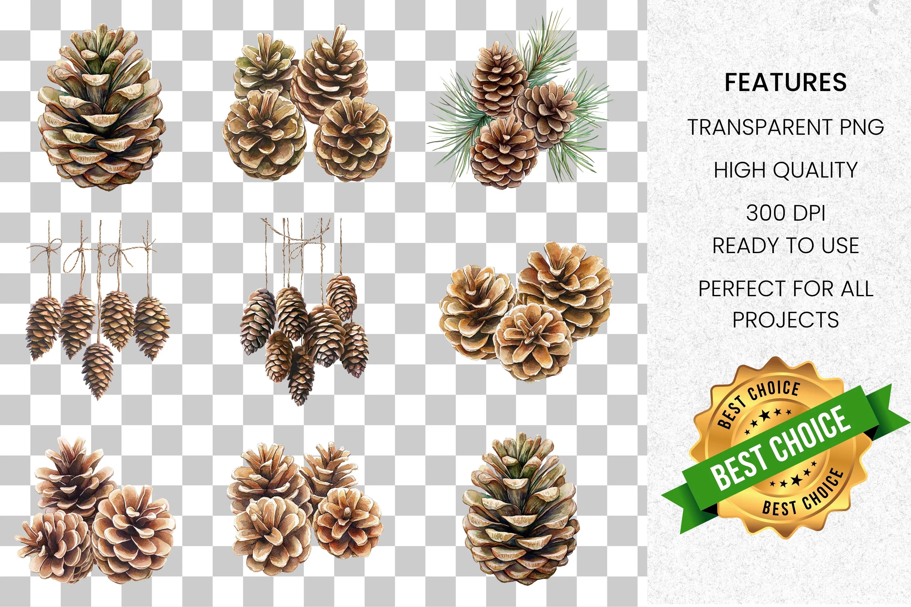 Pinecone Clipart Bundle