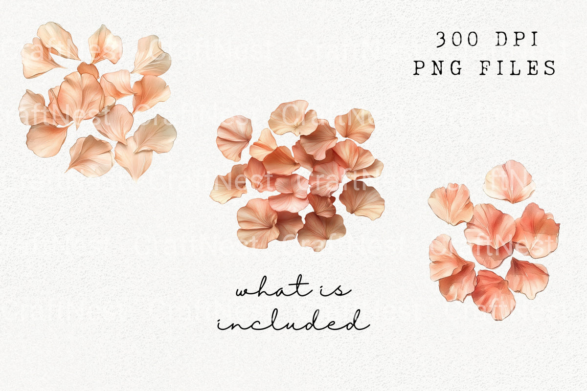 Loose Petals Clipart Bundle