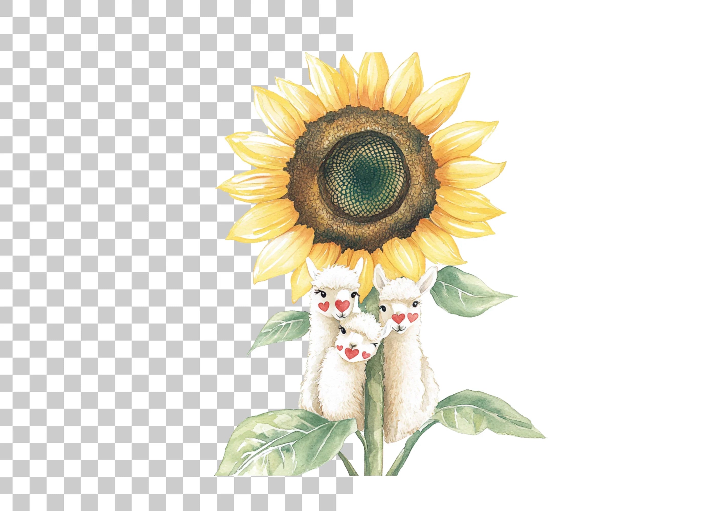 Cute Llama Sunflower Clipart Bundle
