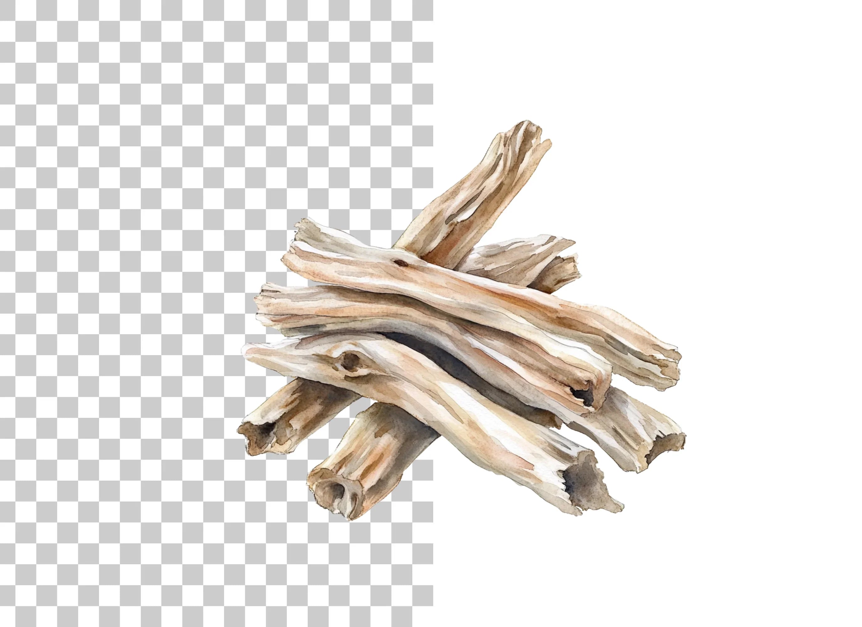 Driftwood Clipart Bundle