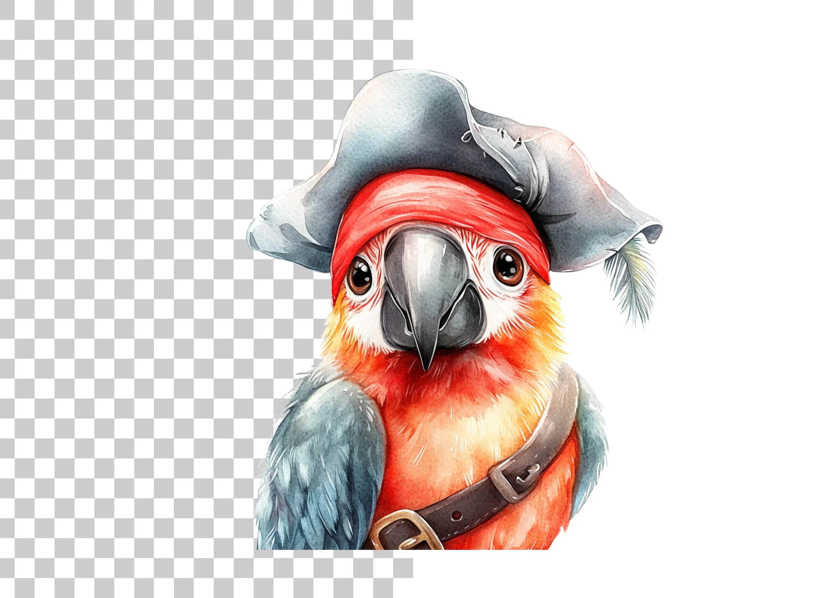 Cute Pirate Parrot Clipart Bundle