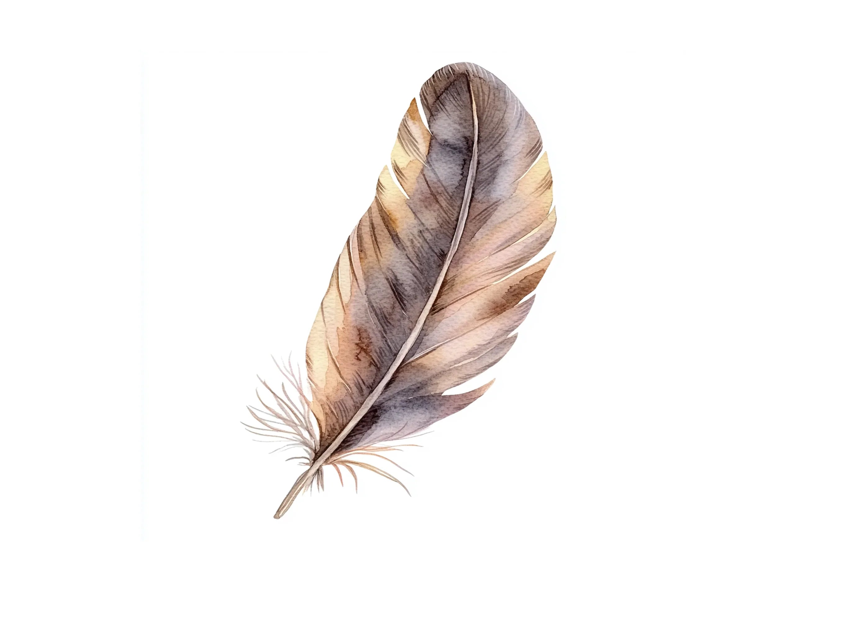 Boho Feather Clipart Bundle