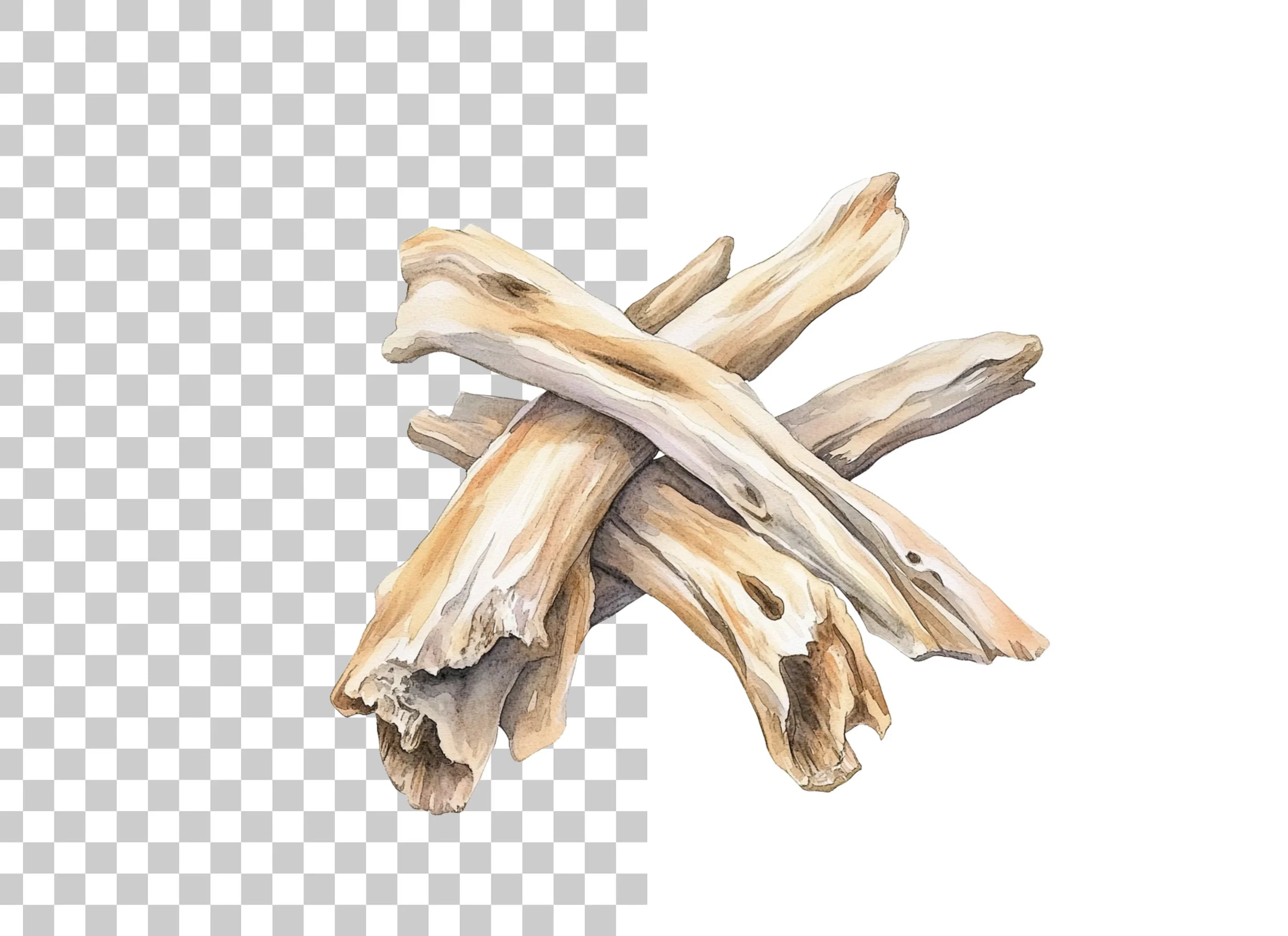 Natural Driftwood Clipart Bundle