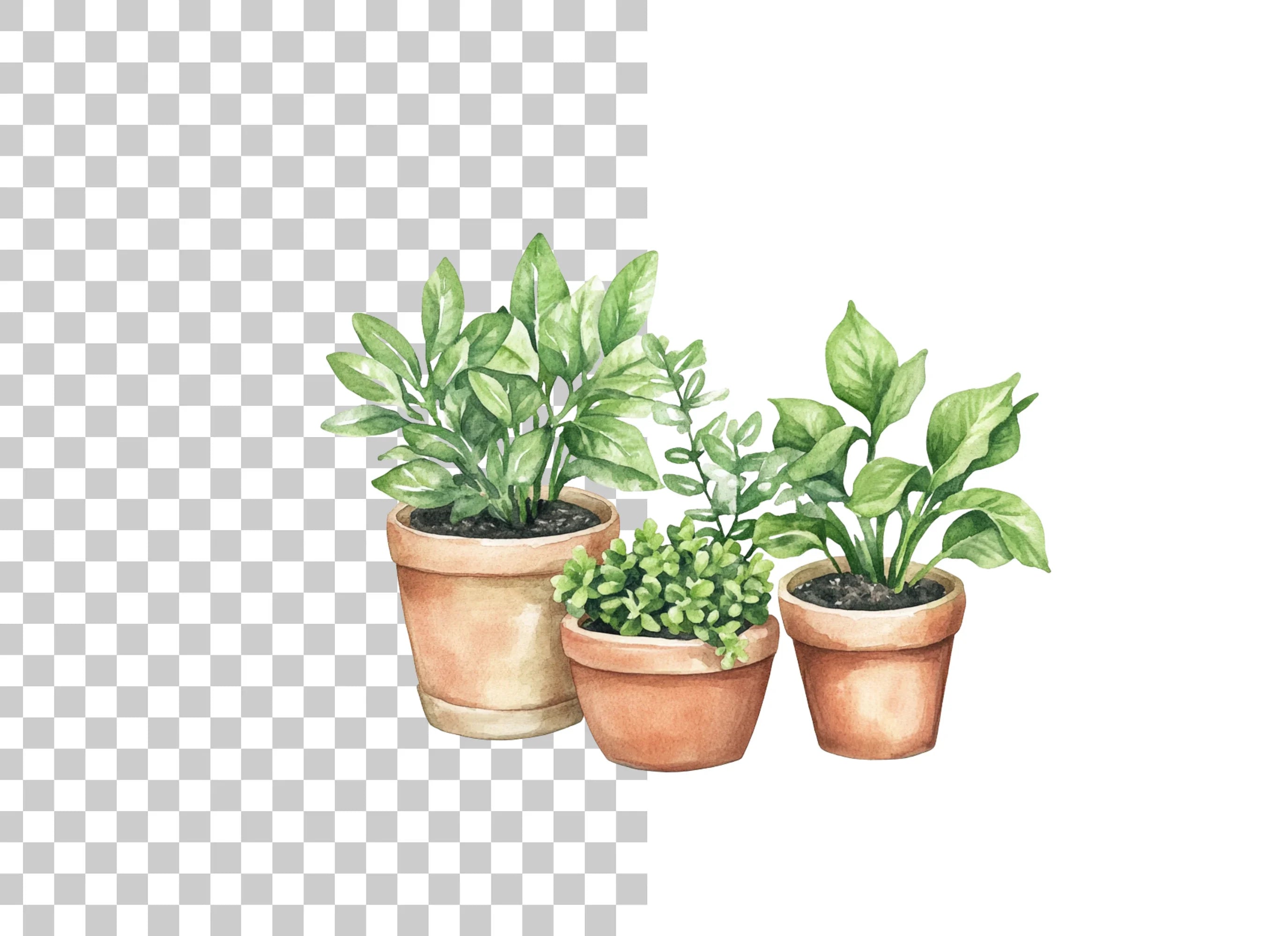 Green Potted Houseplants Clipart Bundle
