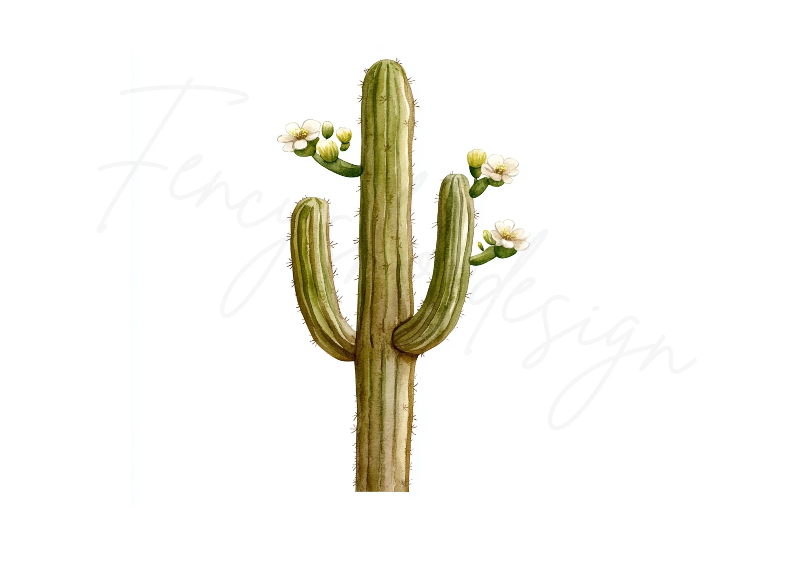 Flowering Saguaro Cactus Clipart Bundle
