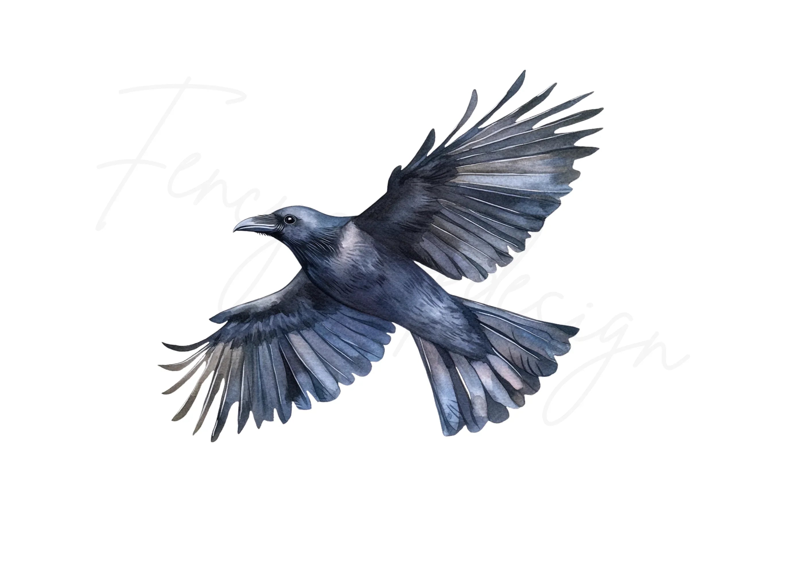 Flying Raven Clipart Bundle