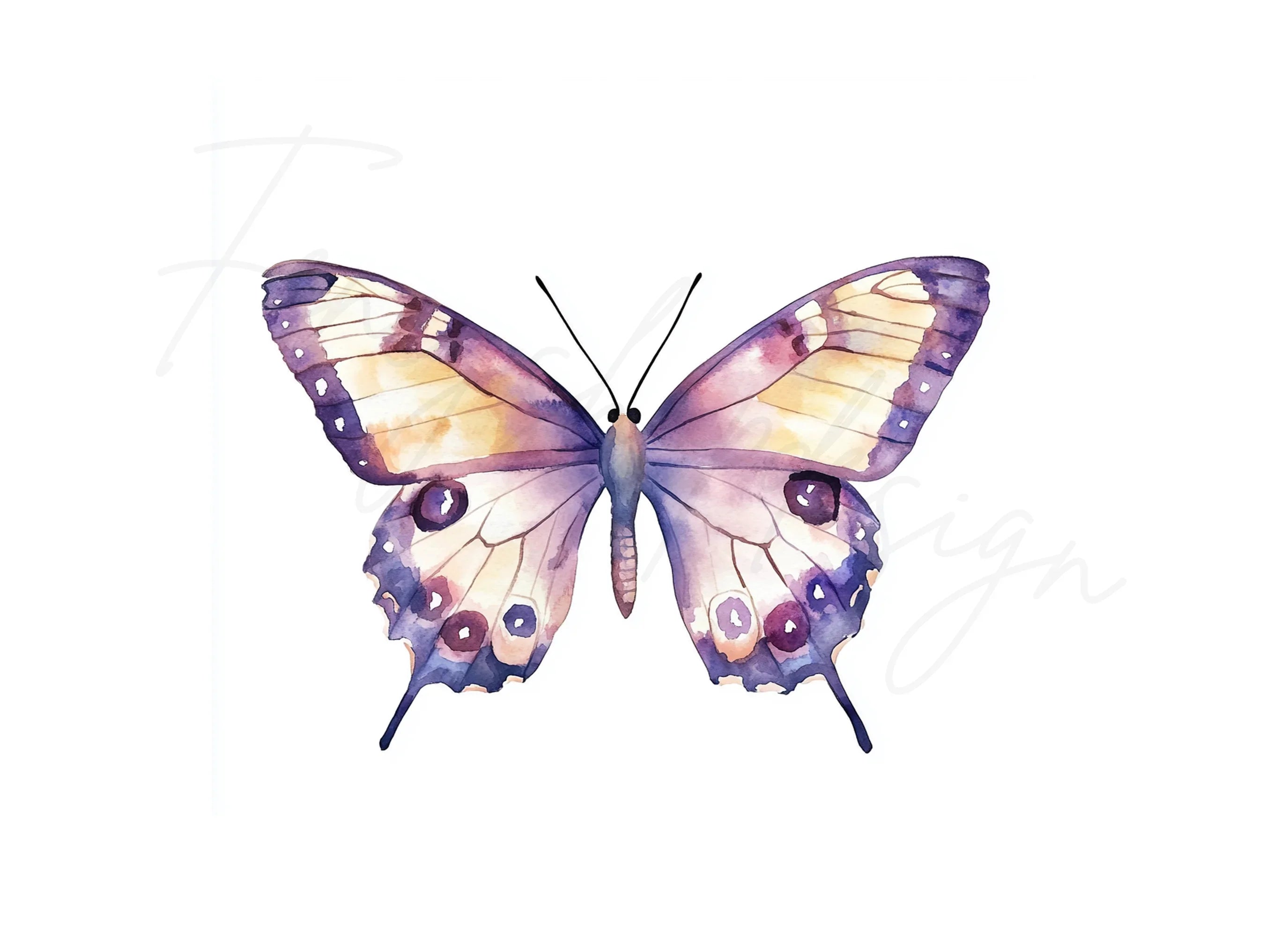 Butterfly Clipart Bundle