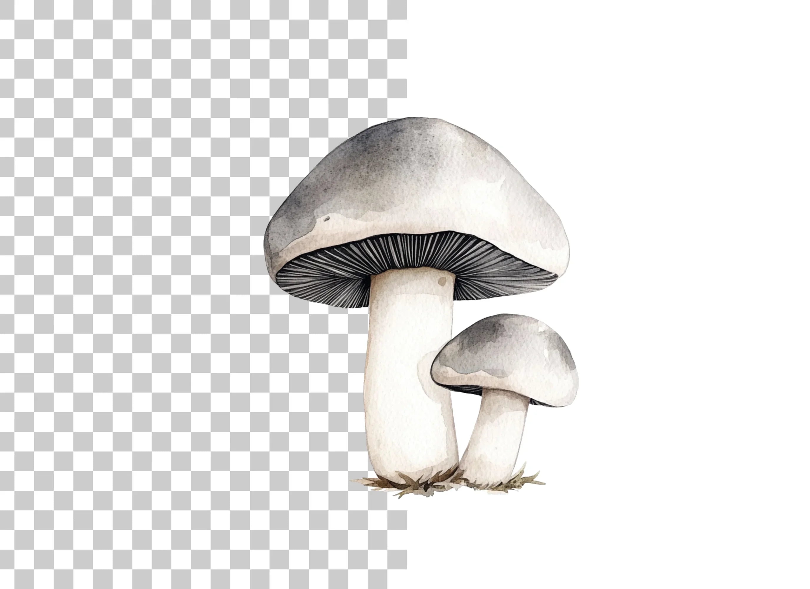 Mushroom Family Clipart Bundle