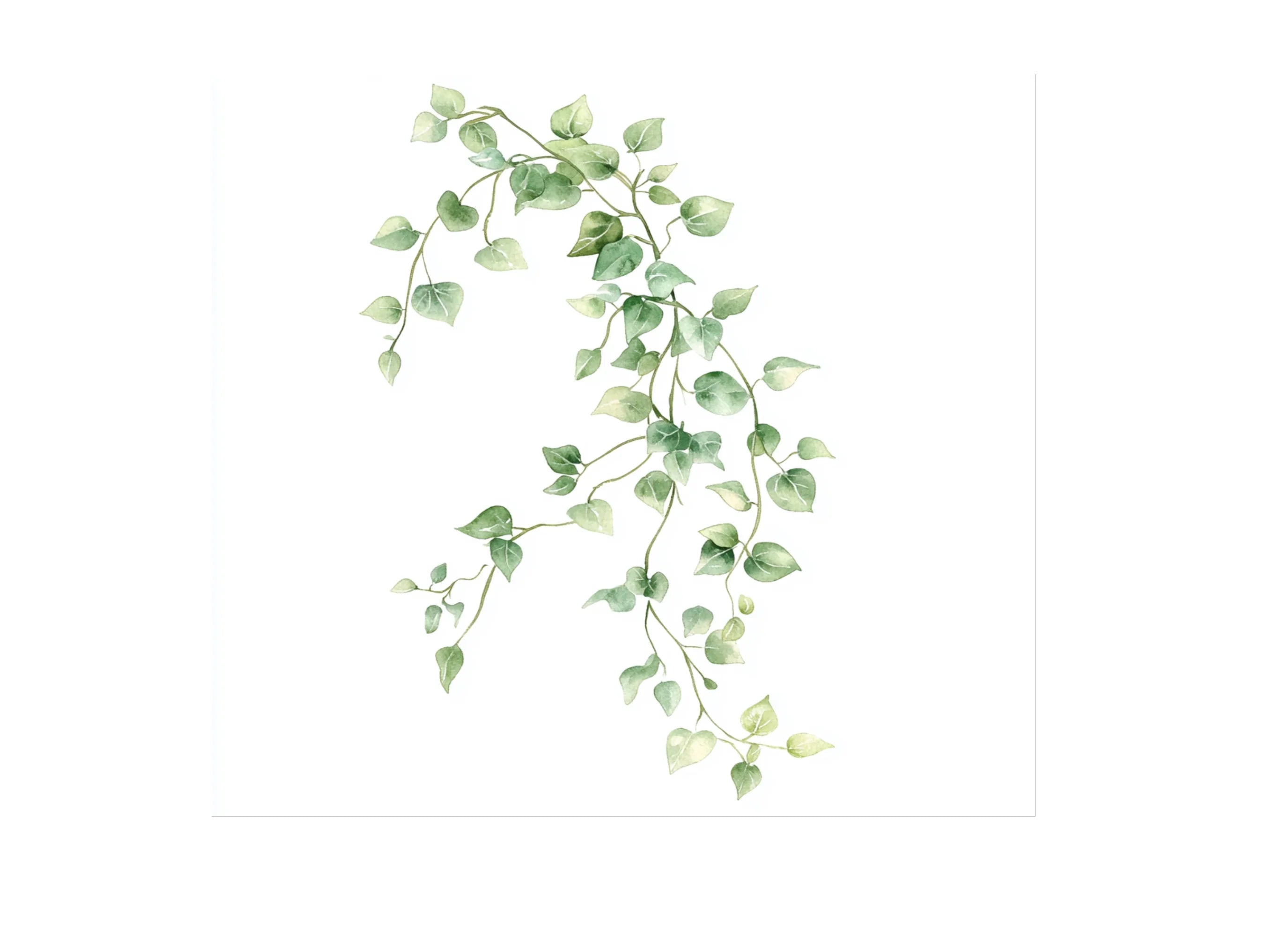 Greenery Vines Clipart Bundle