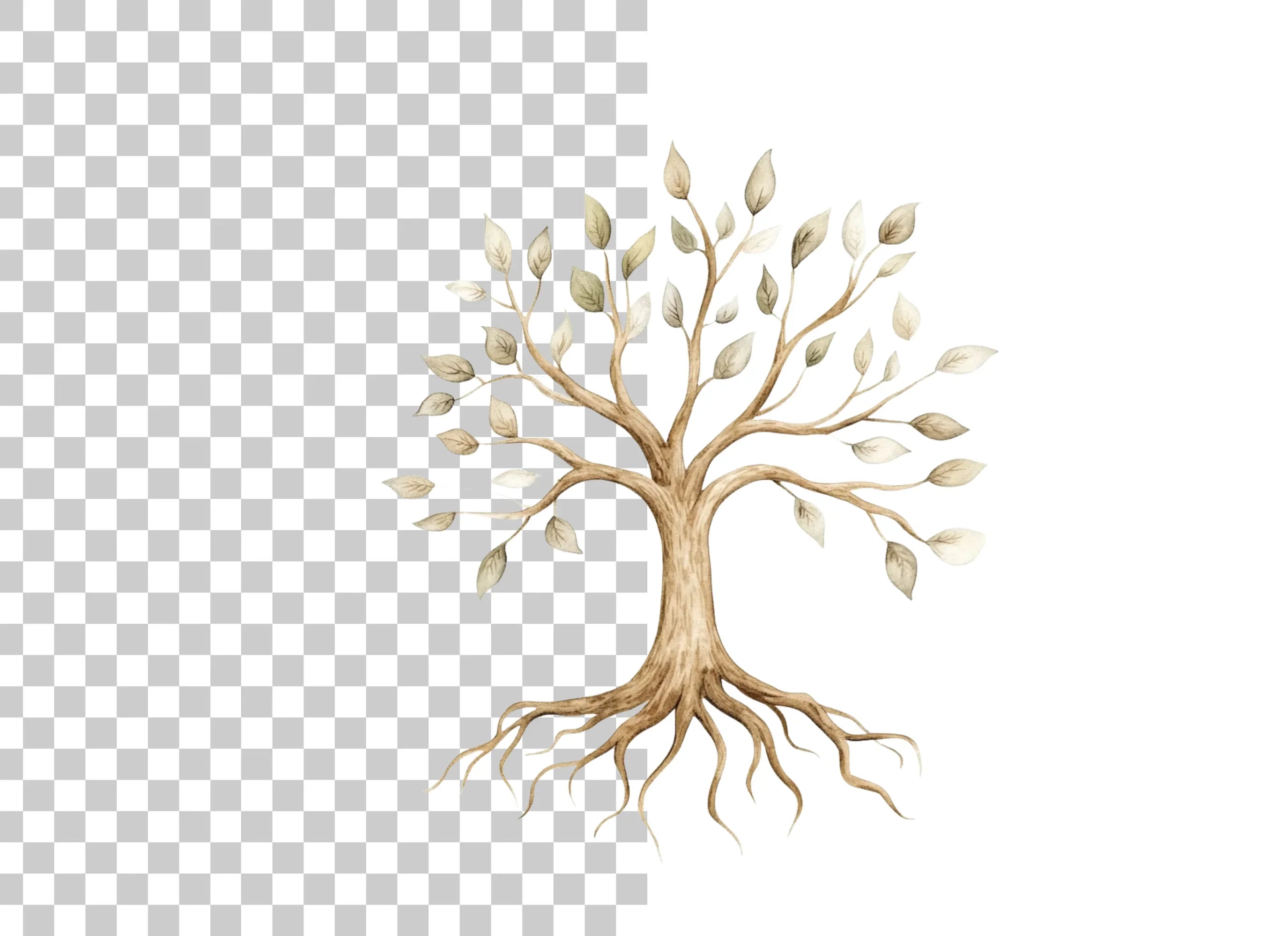 Tree of Life Clipart Bundle