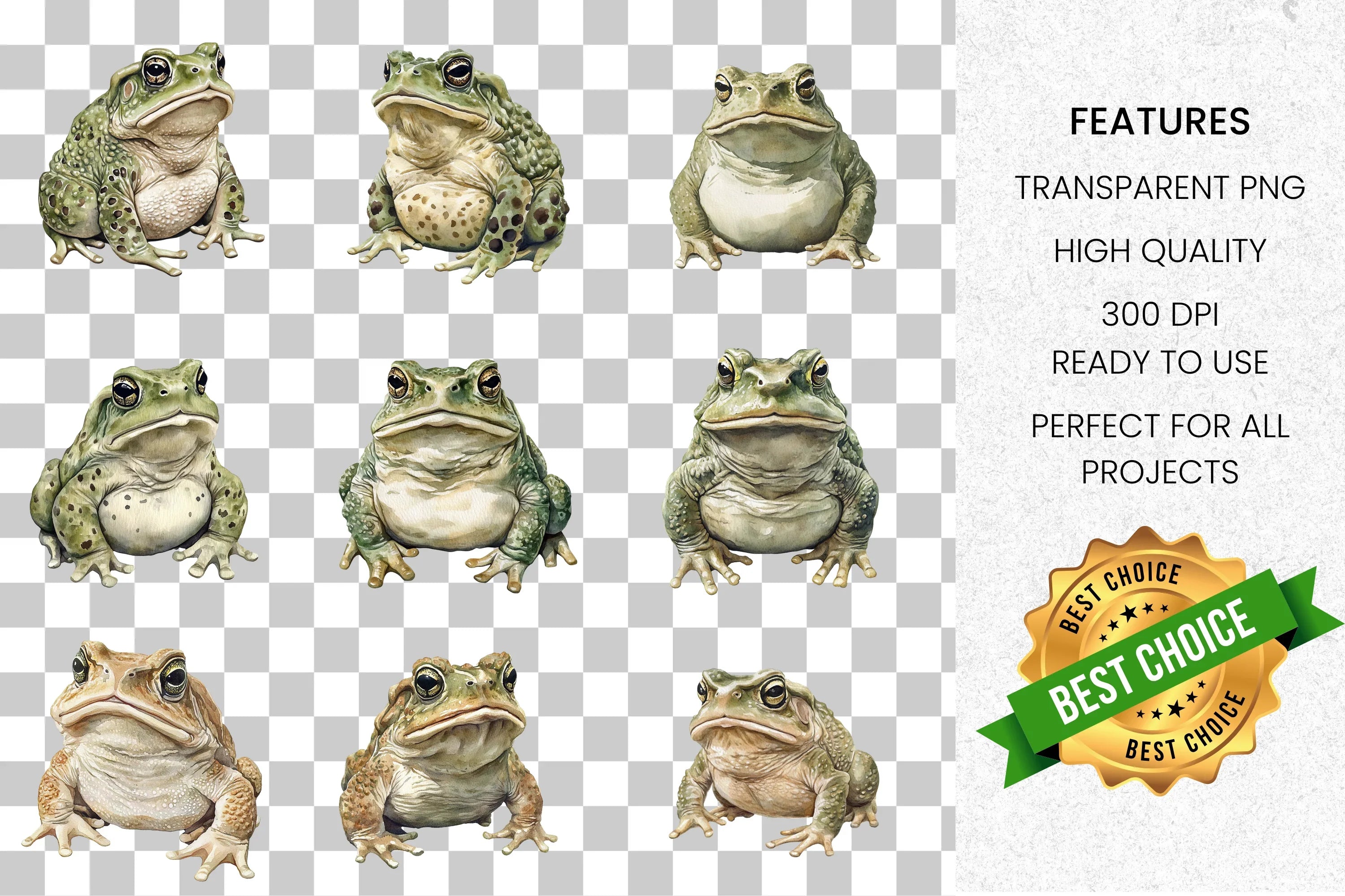 Realistic Toad Clipart Bundle