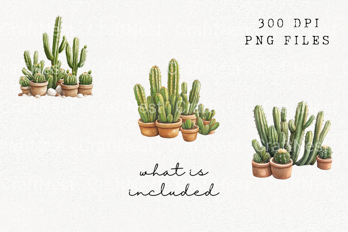 Potted Cactus For Decor Clipart Bundle