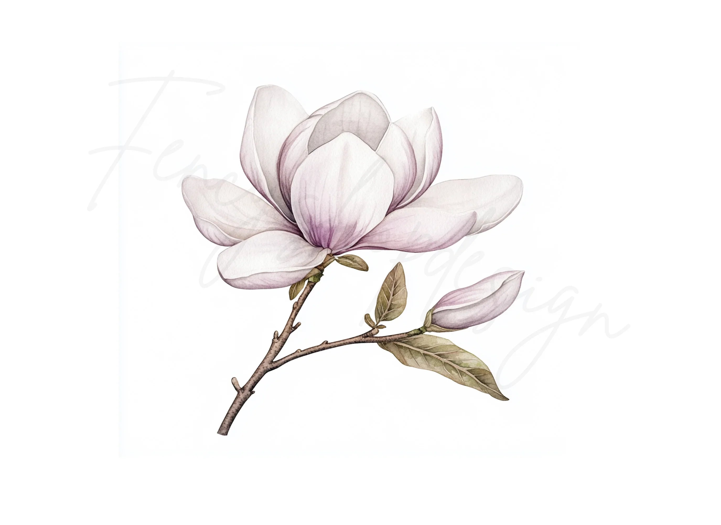 Elegant Magnolia Clipart Bundle