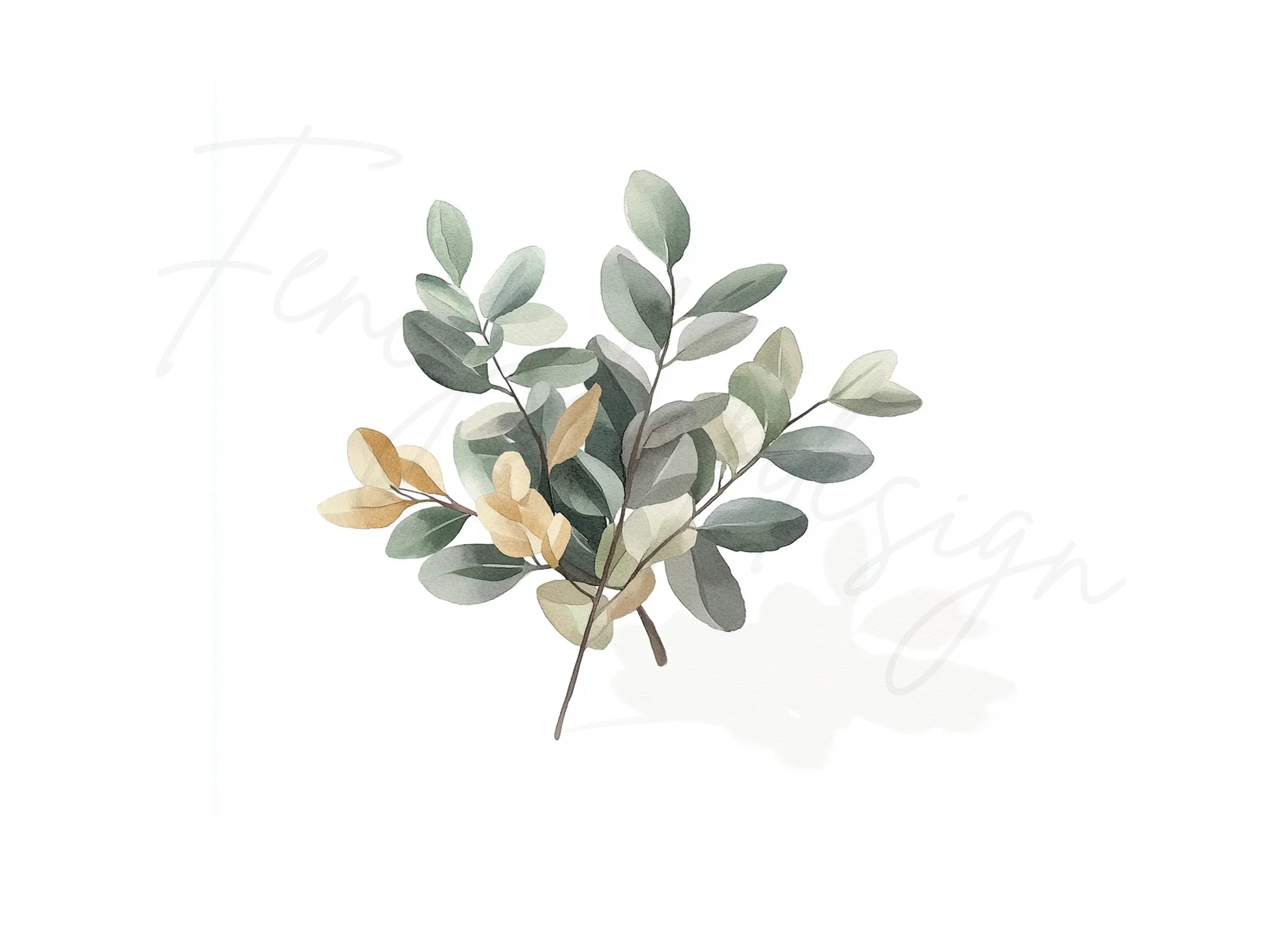 Eucalyptus Leaves Clipart Bundle