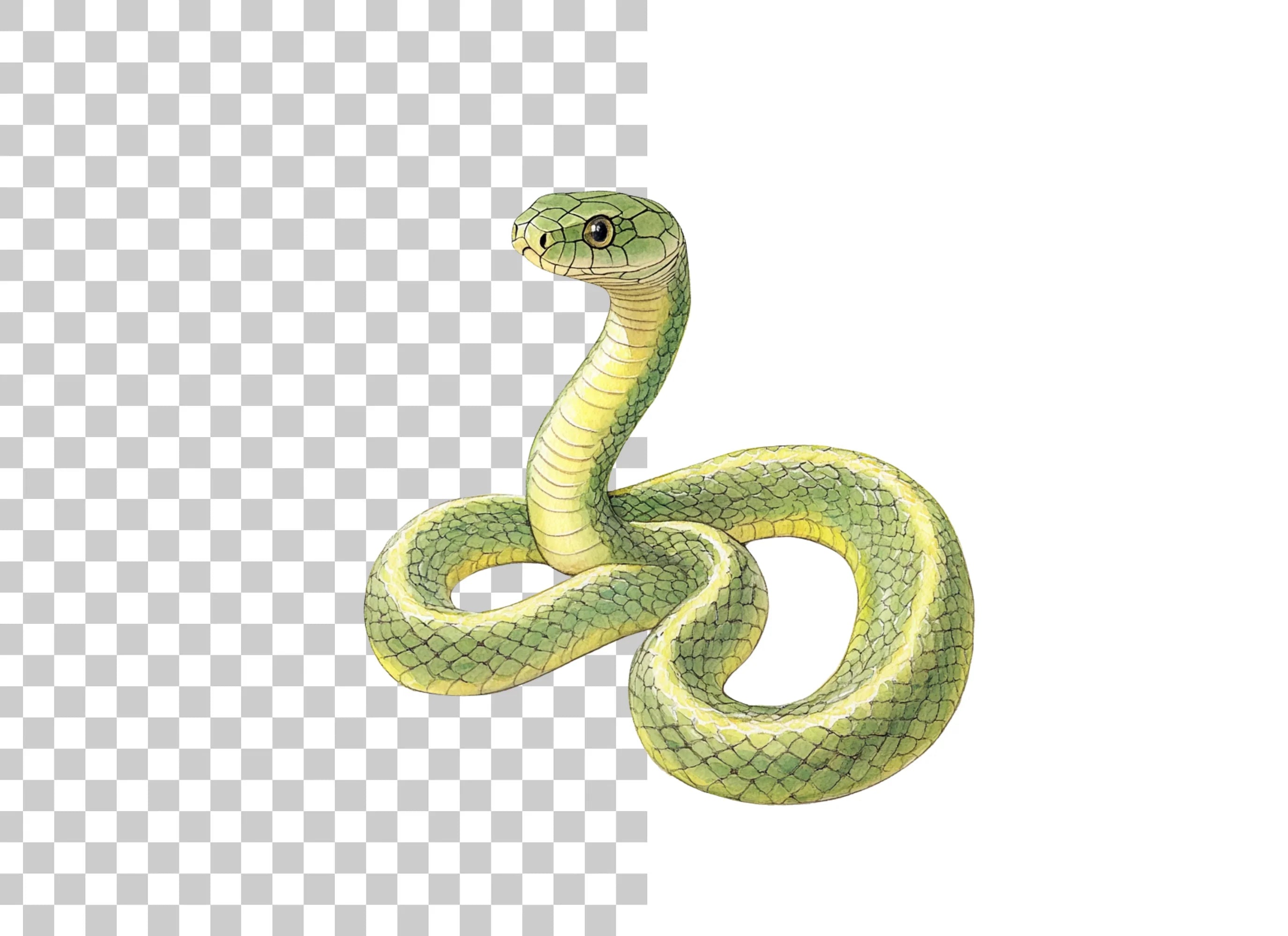 Vibrant Green Snake Clipart Bundle