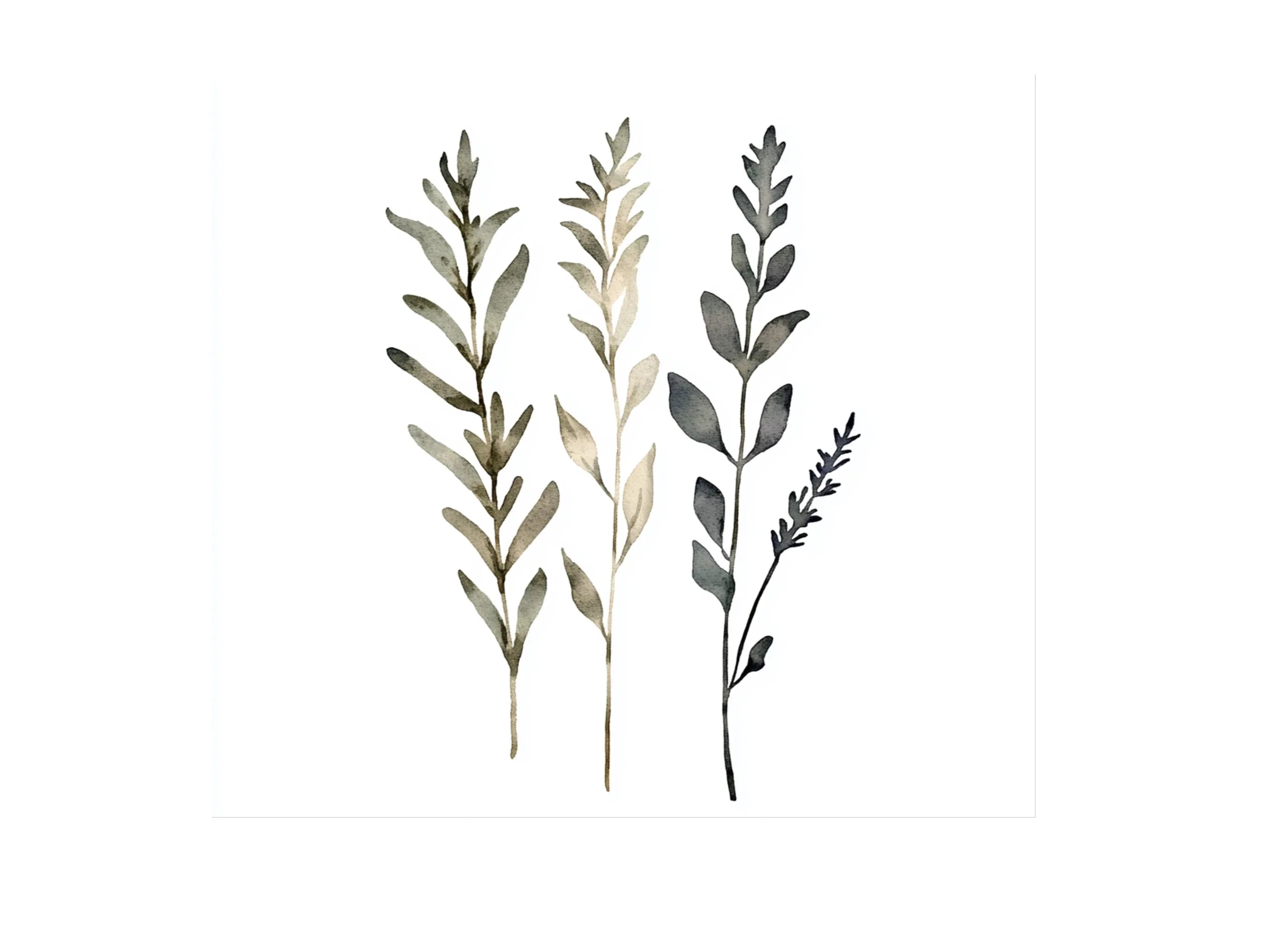 Botanical Clipart Bundle