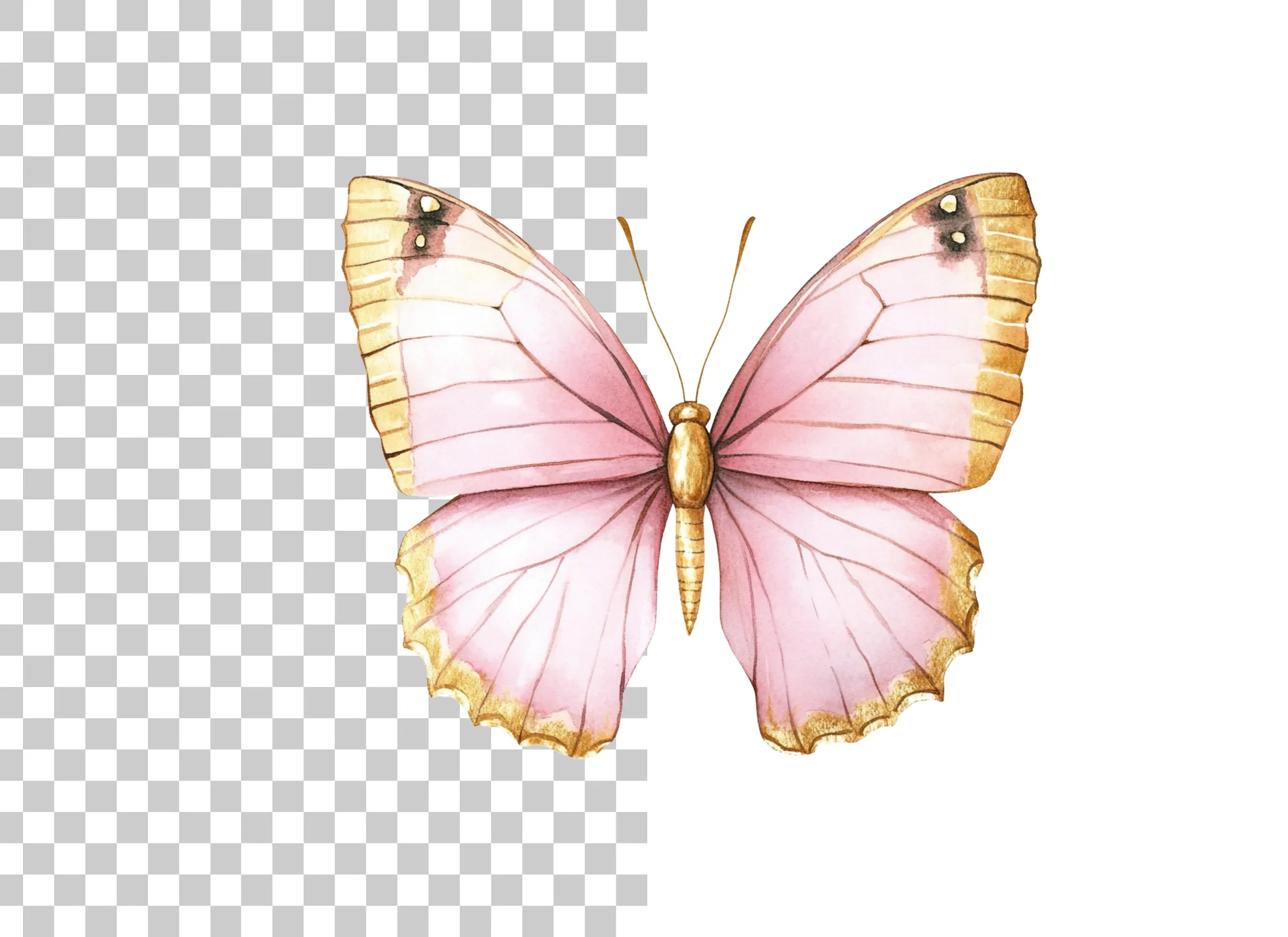 Pink and Gold Butterfly Clipart Bundle