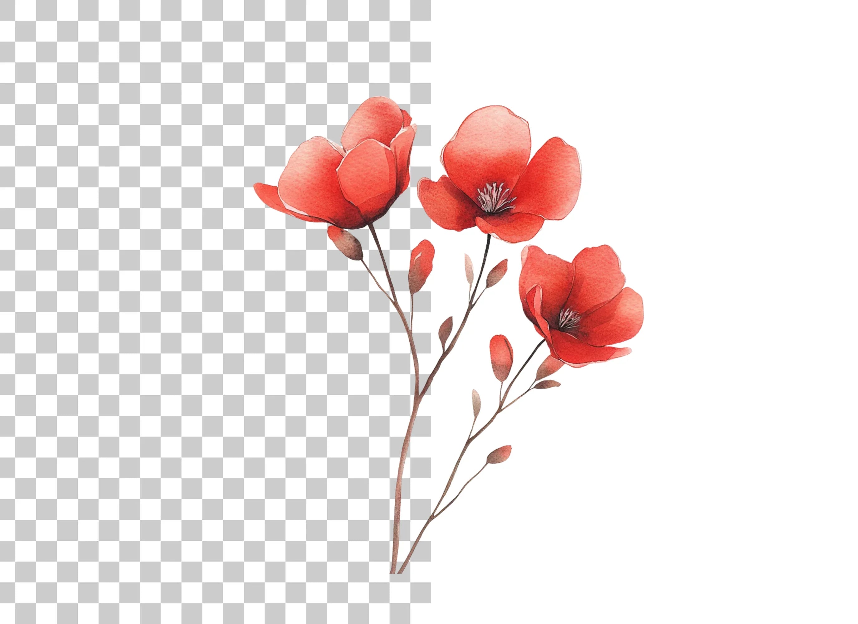 Delicate Red Flowers Clipart Bundle