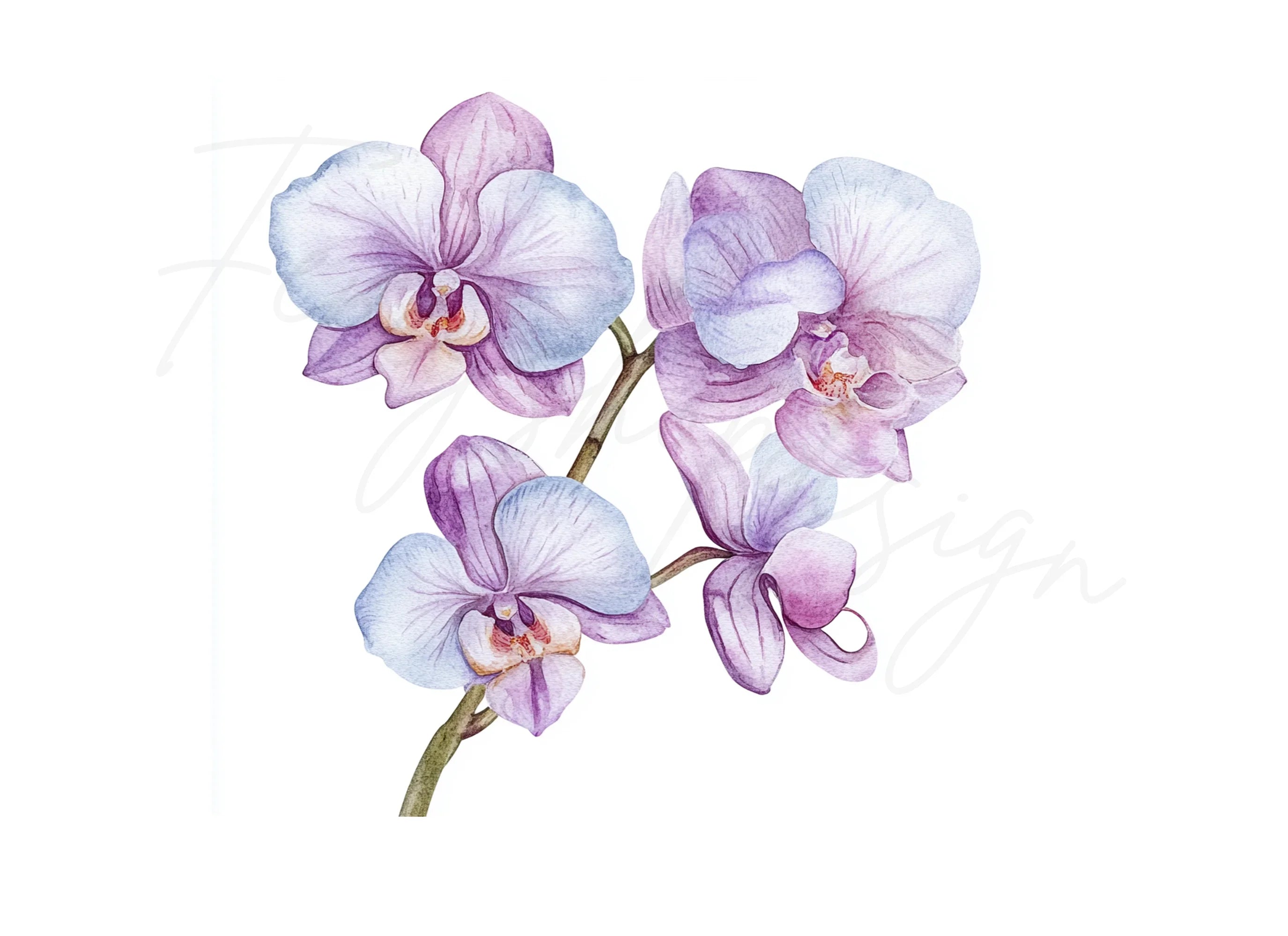 Purple Orchid Clipart Bundle