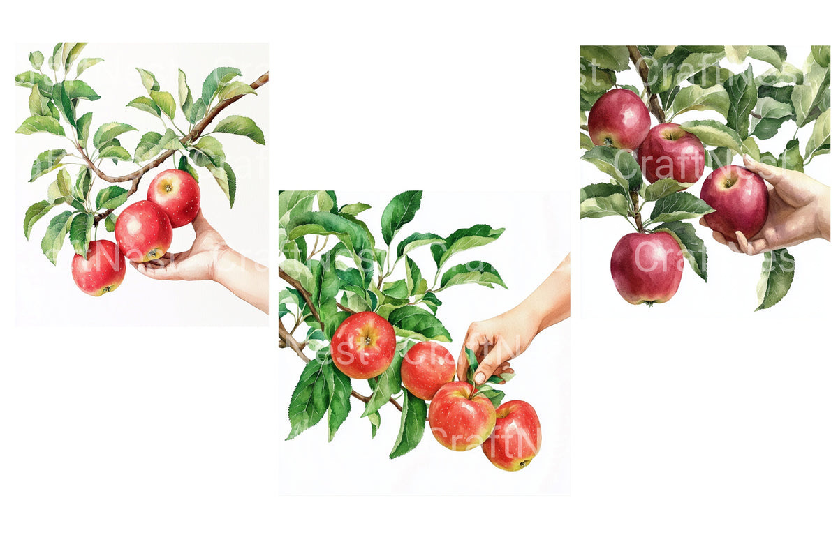 Hand Picking Red Apples From Tree Clipart Bundle