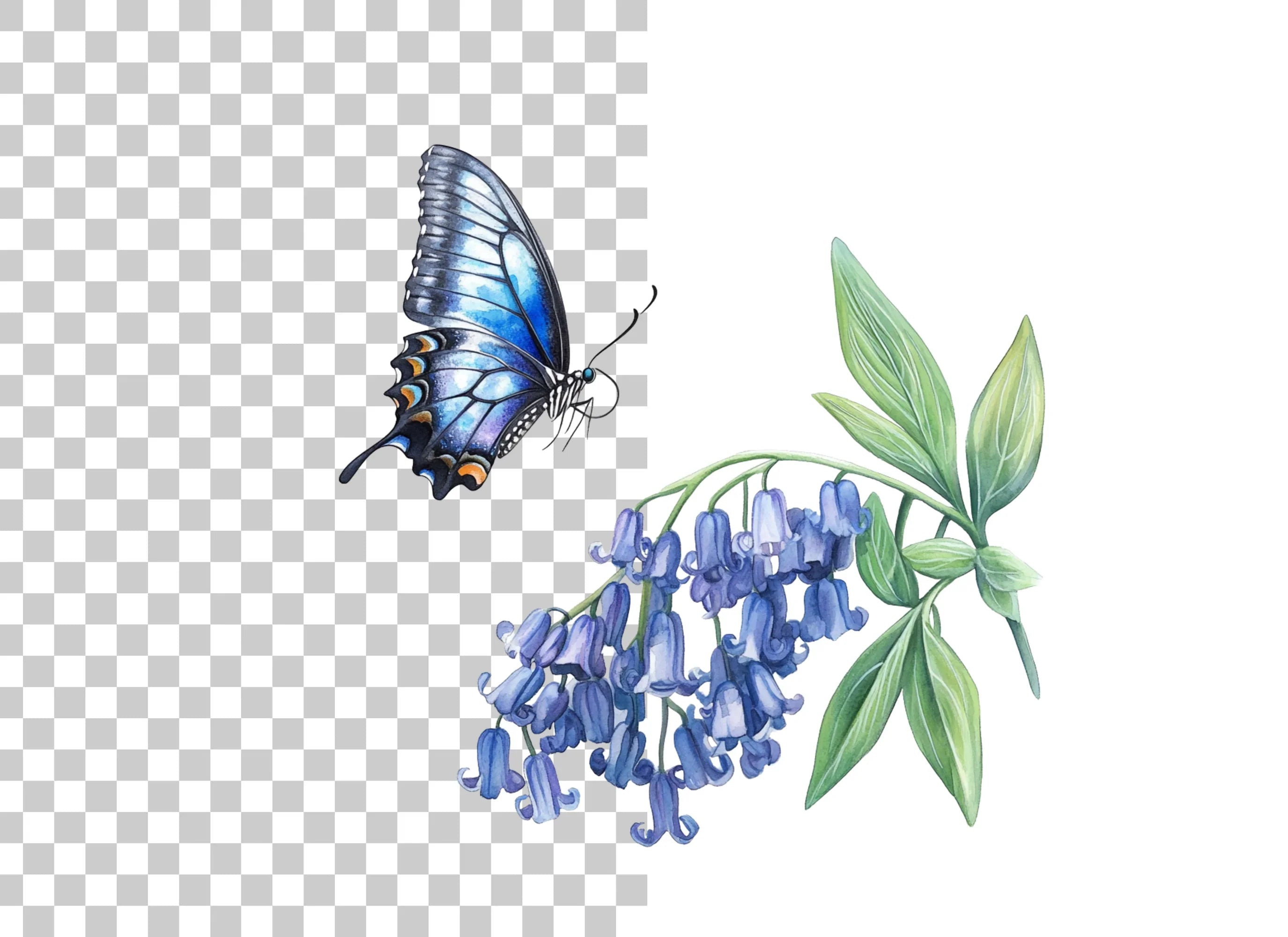 Bluebell Flowers and Butterfly Clipart Bundle