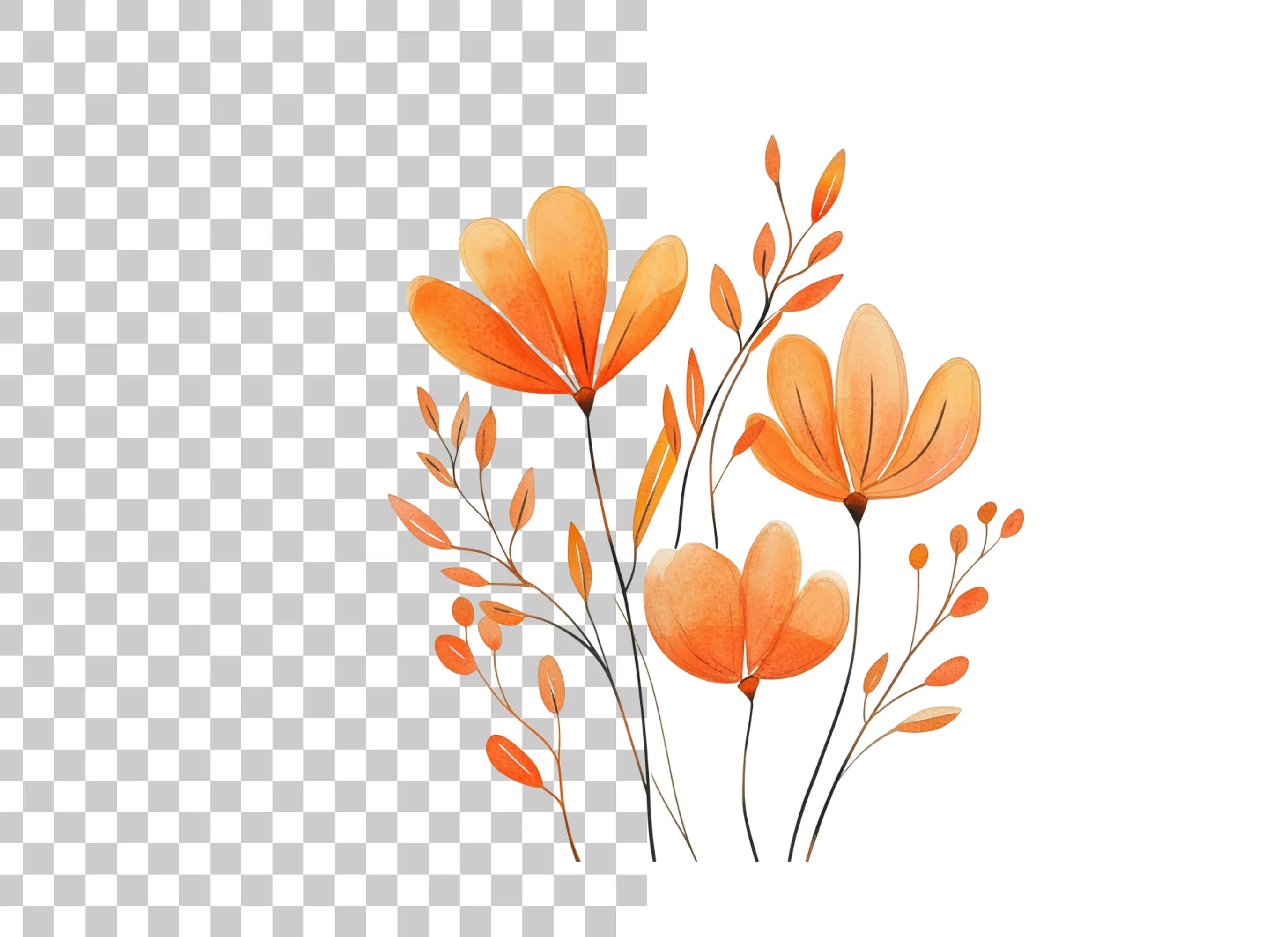 Orange Floral Clipart Bundle