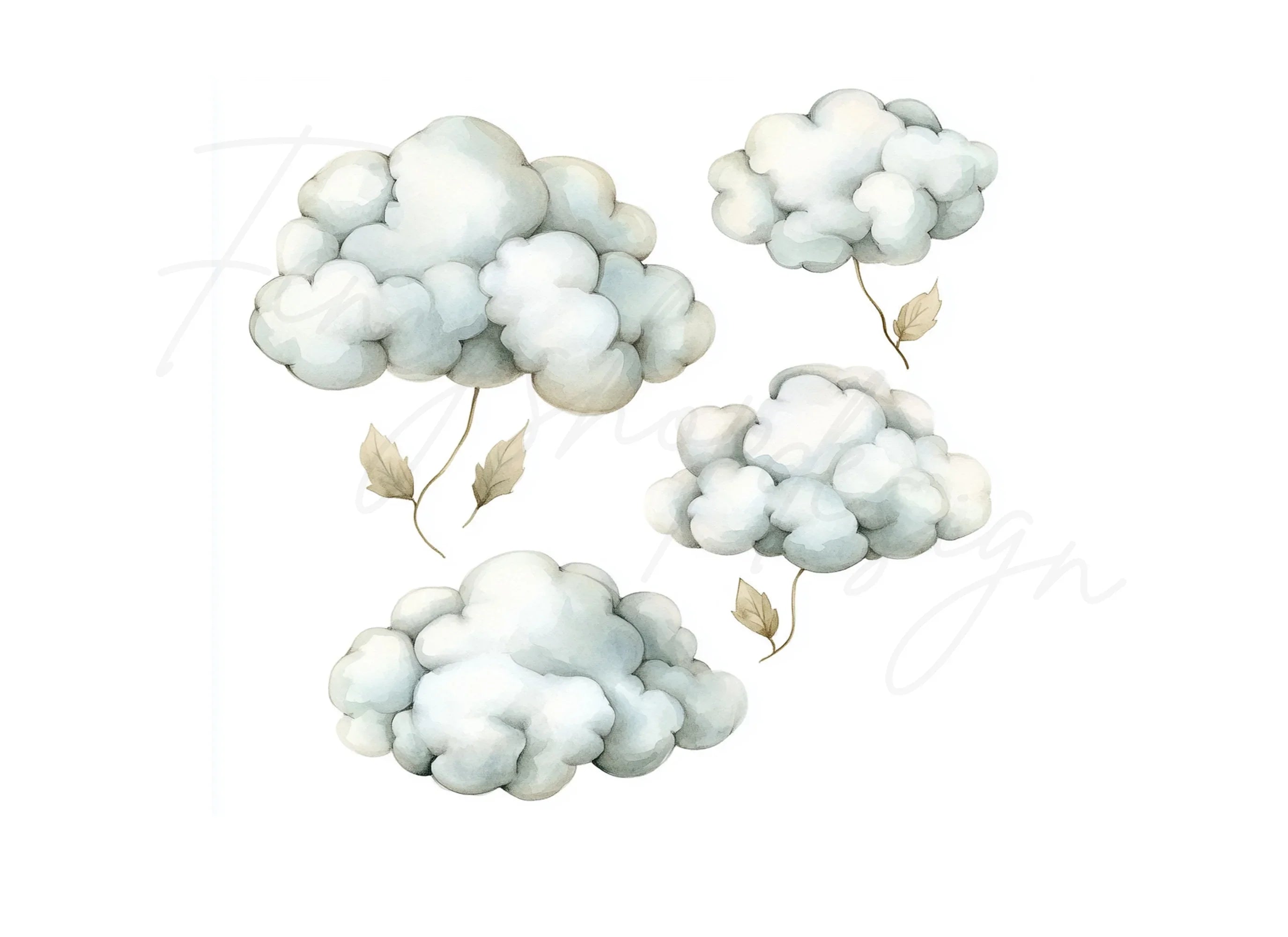 Fluffy Cotton Clouds Botanicals Clipart Bundle