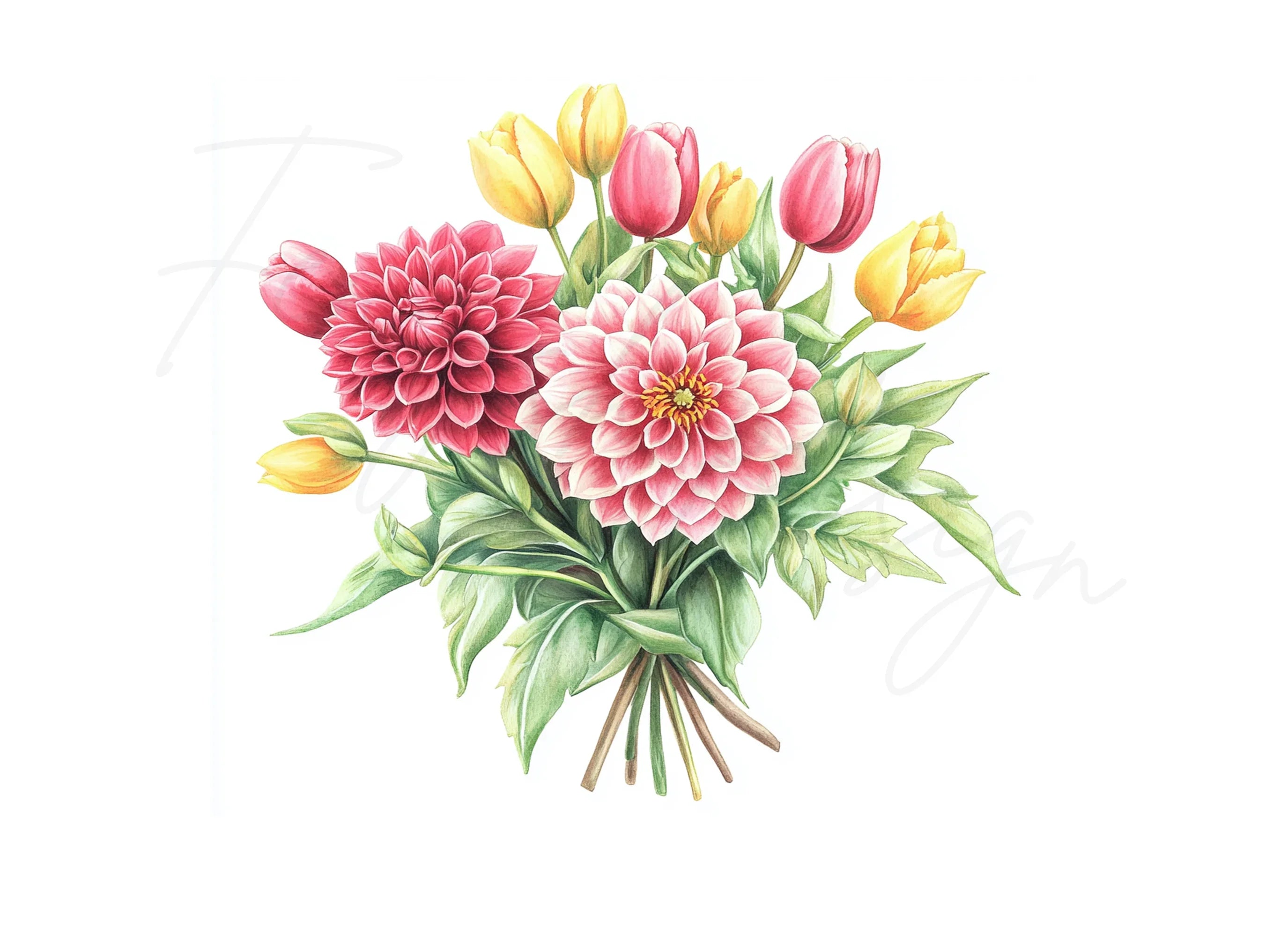 Dahlia and Tulip Bouquet Clipart Bundle