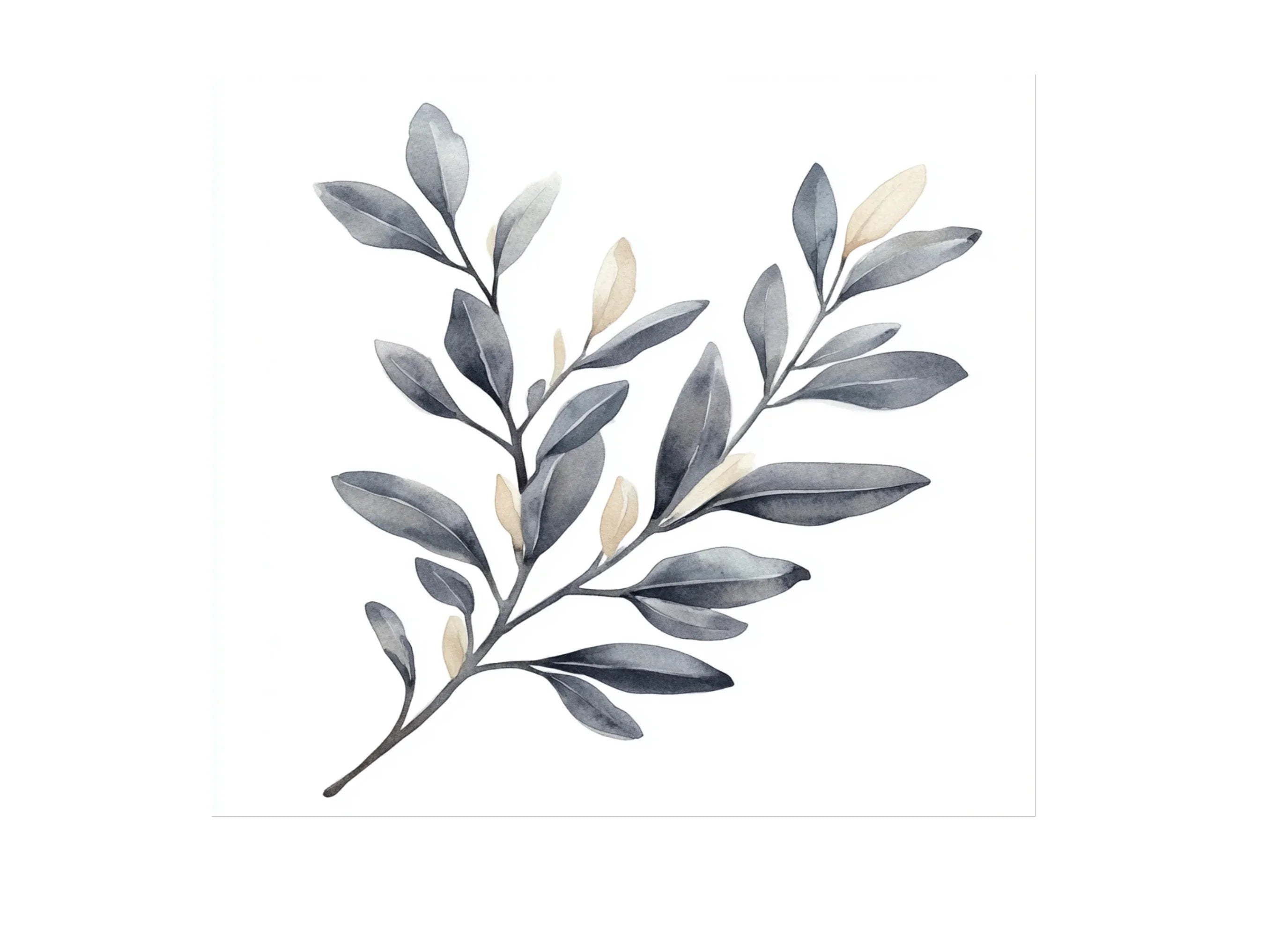 Eucalyptus Branches Clipart Bundle