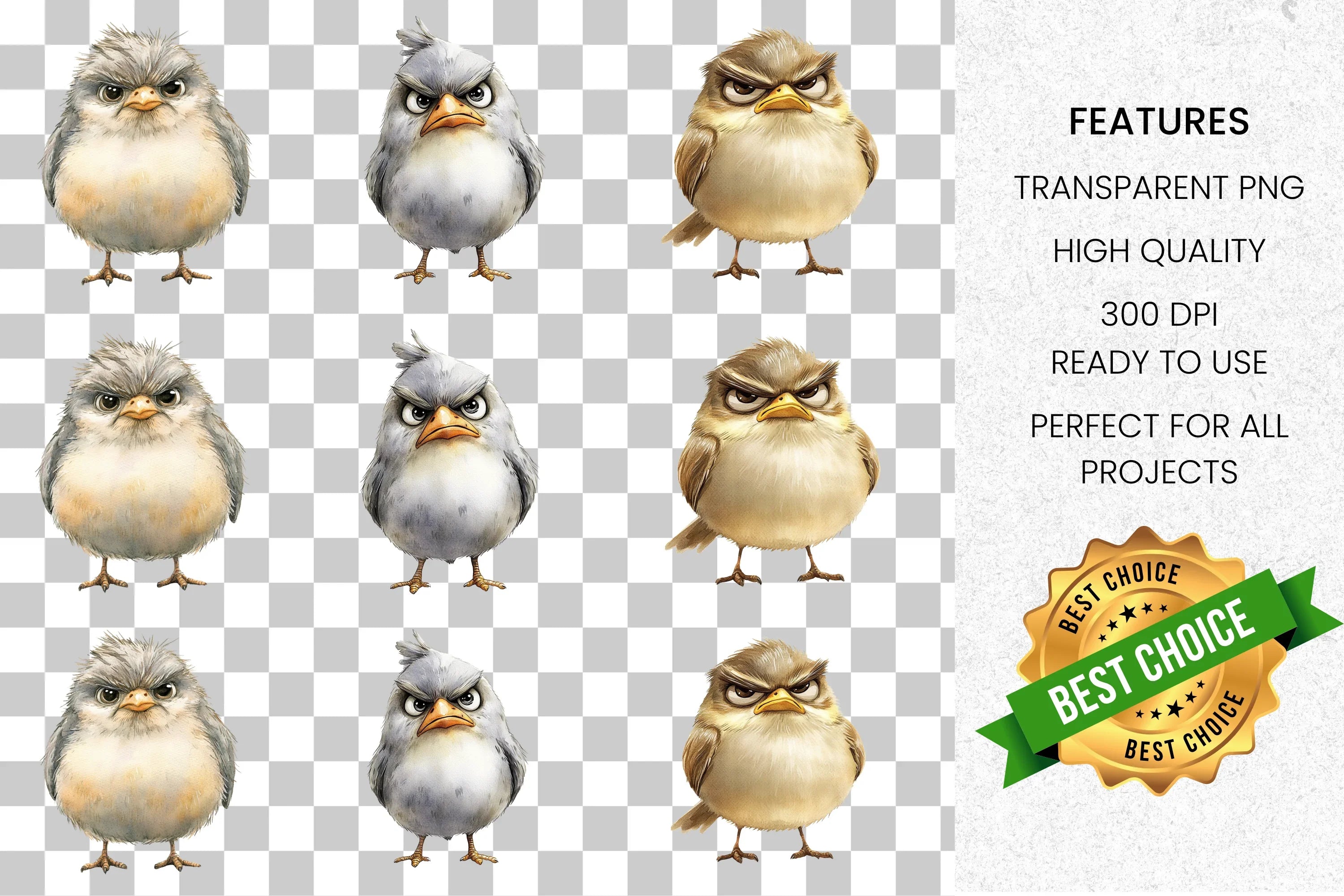 Angry Cartoon Bird Clipart Bundle