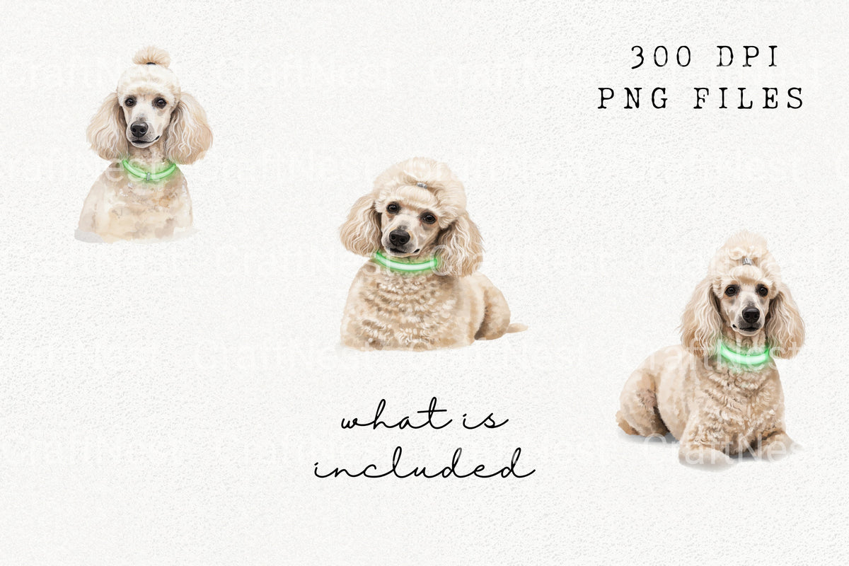 Poodle With Glowing Collar Clipart Bundle