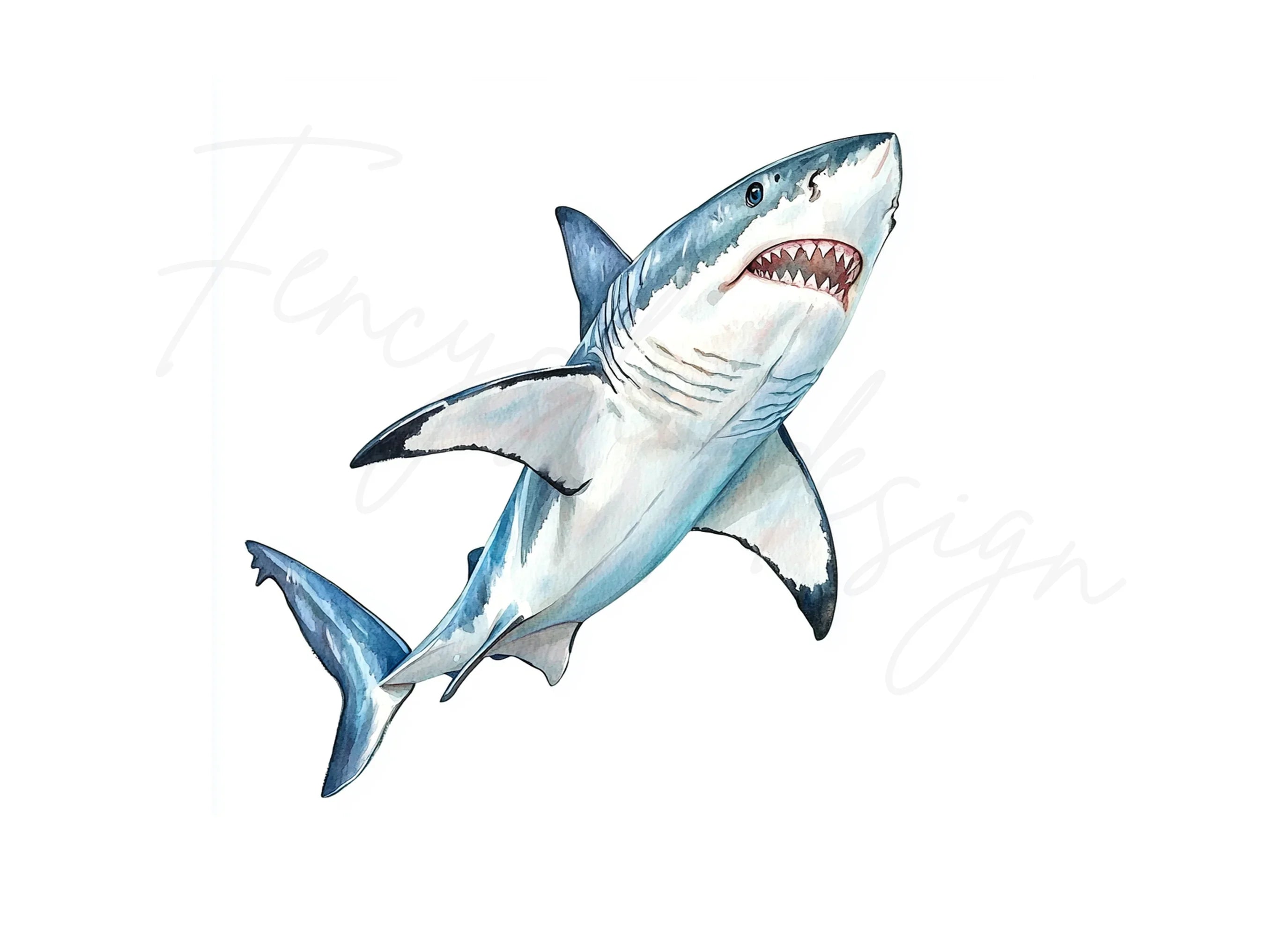 Great White Shark Clipart Bundle