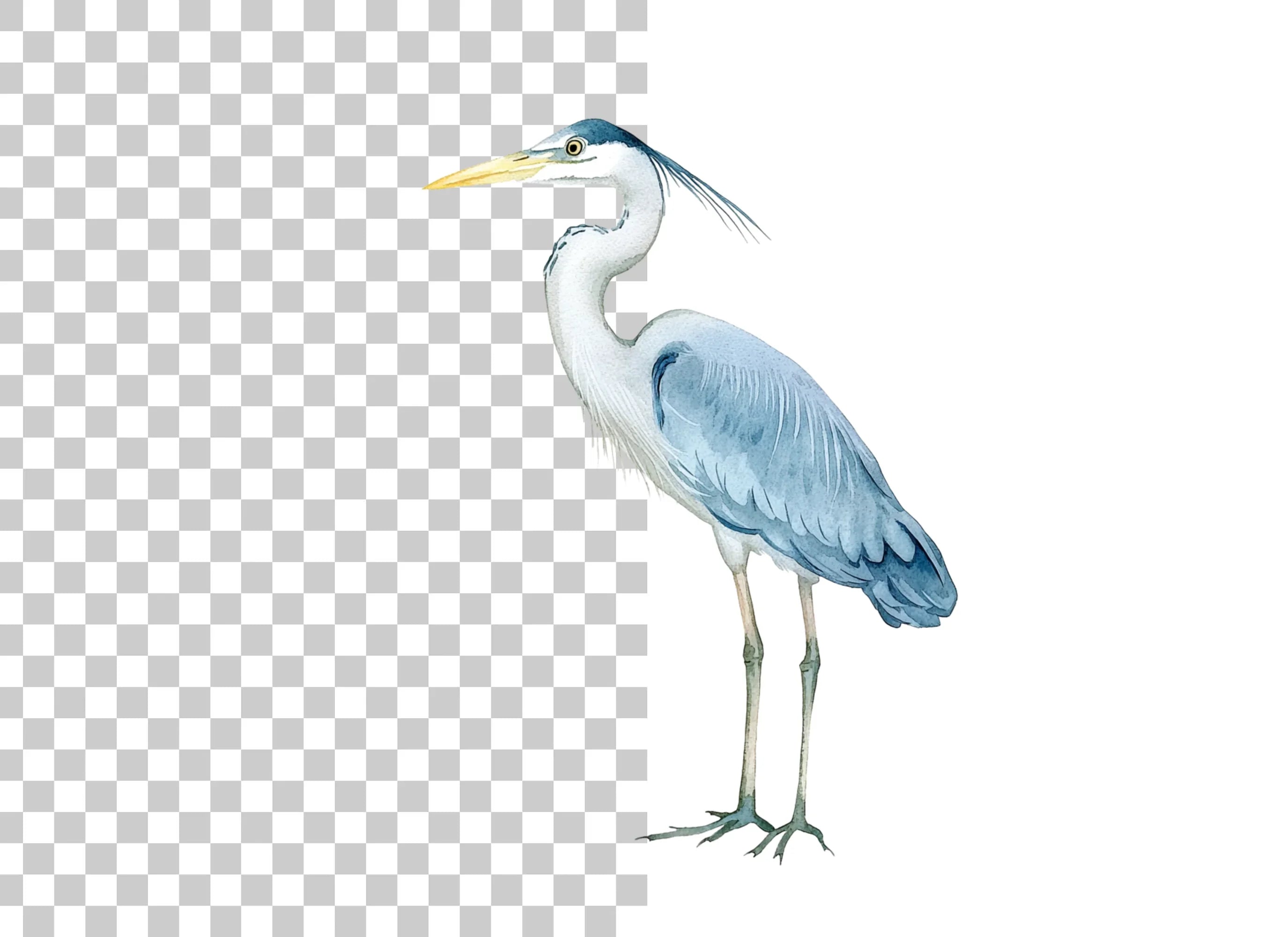 Elegant Grey Heron Bird Clipart Bundle
