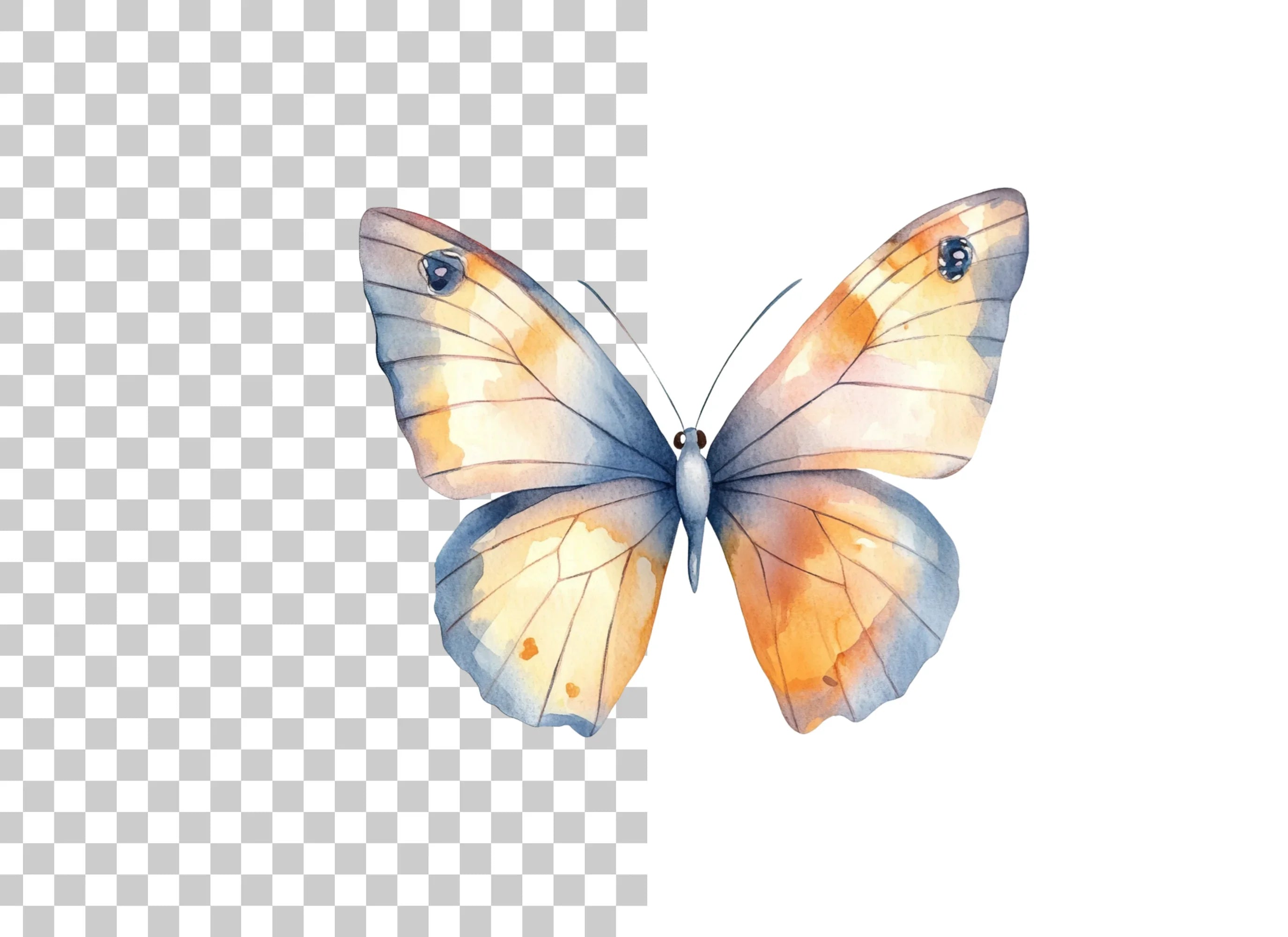 Butterfly Clipart Bundle