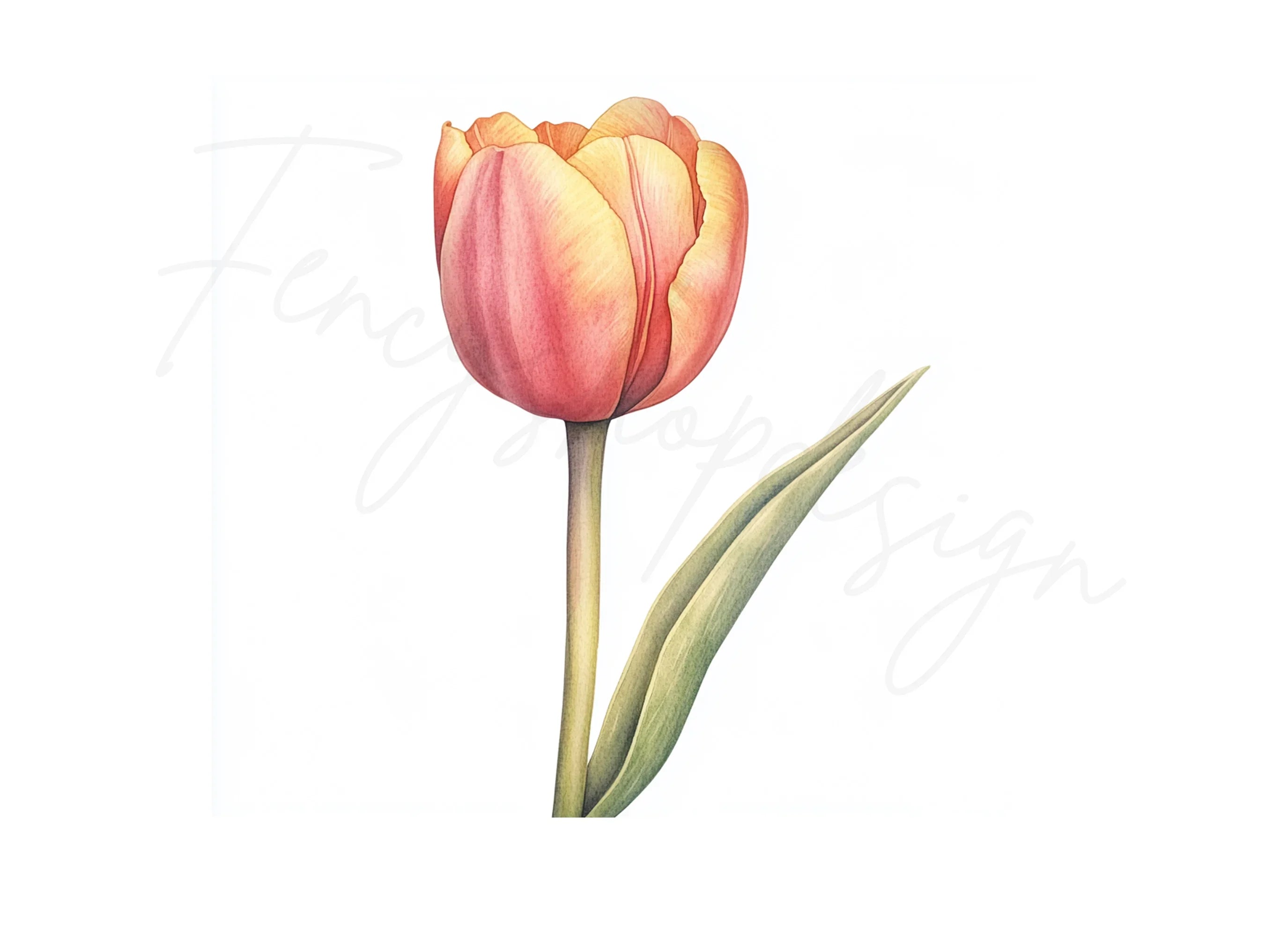Elegant Pink and Yellow Tulip Clipart Bundle