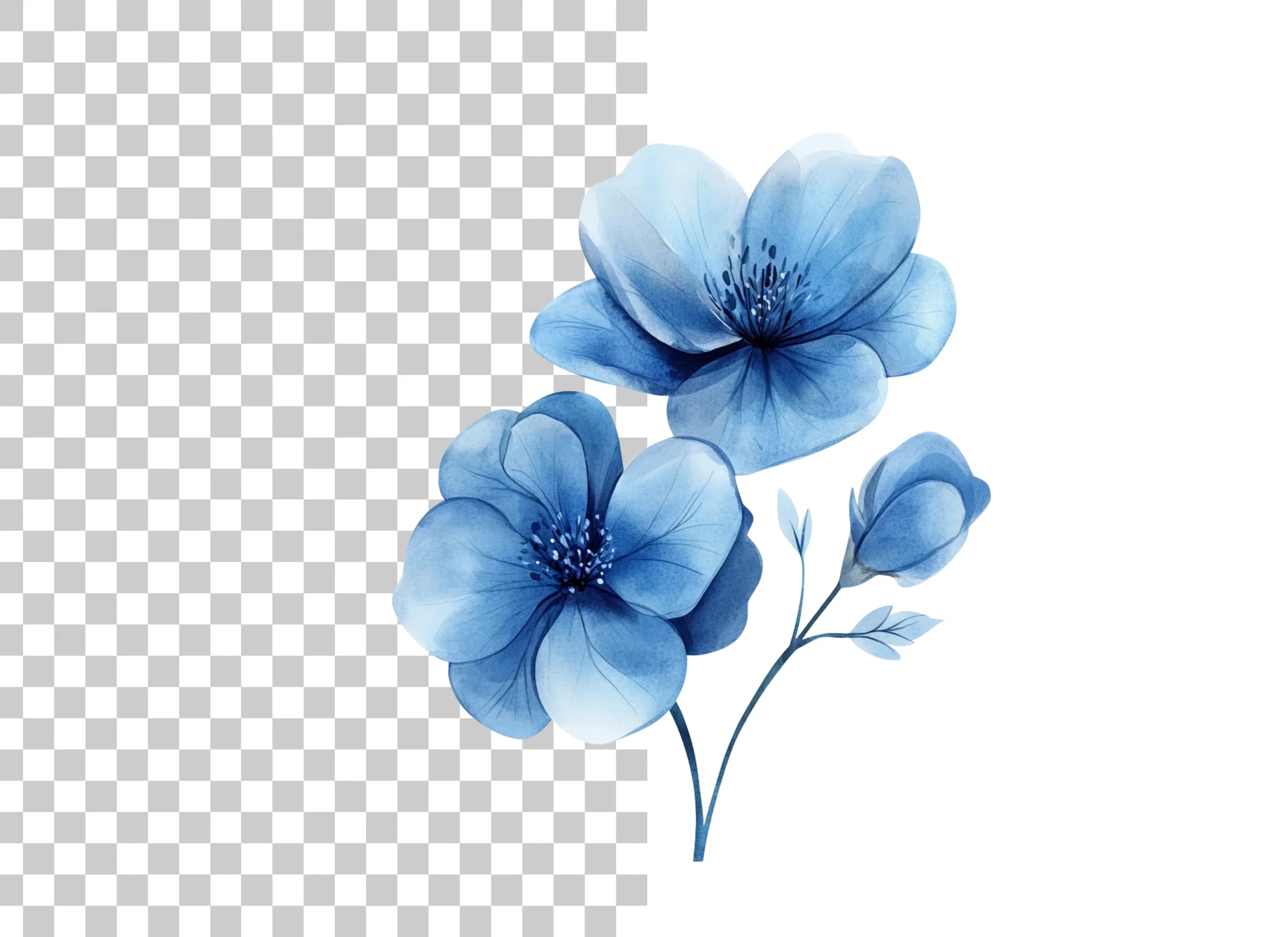 Elegant Blue Floral Clipart Bundle