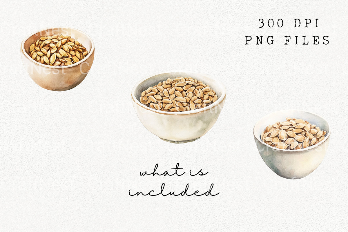 Pumpkin Seeds In Bowls Clipart Bundle