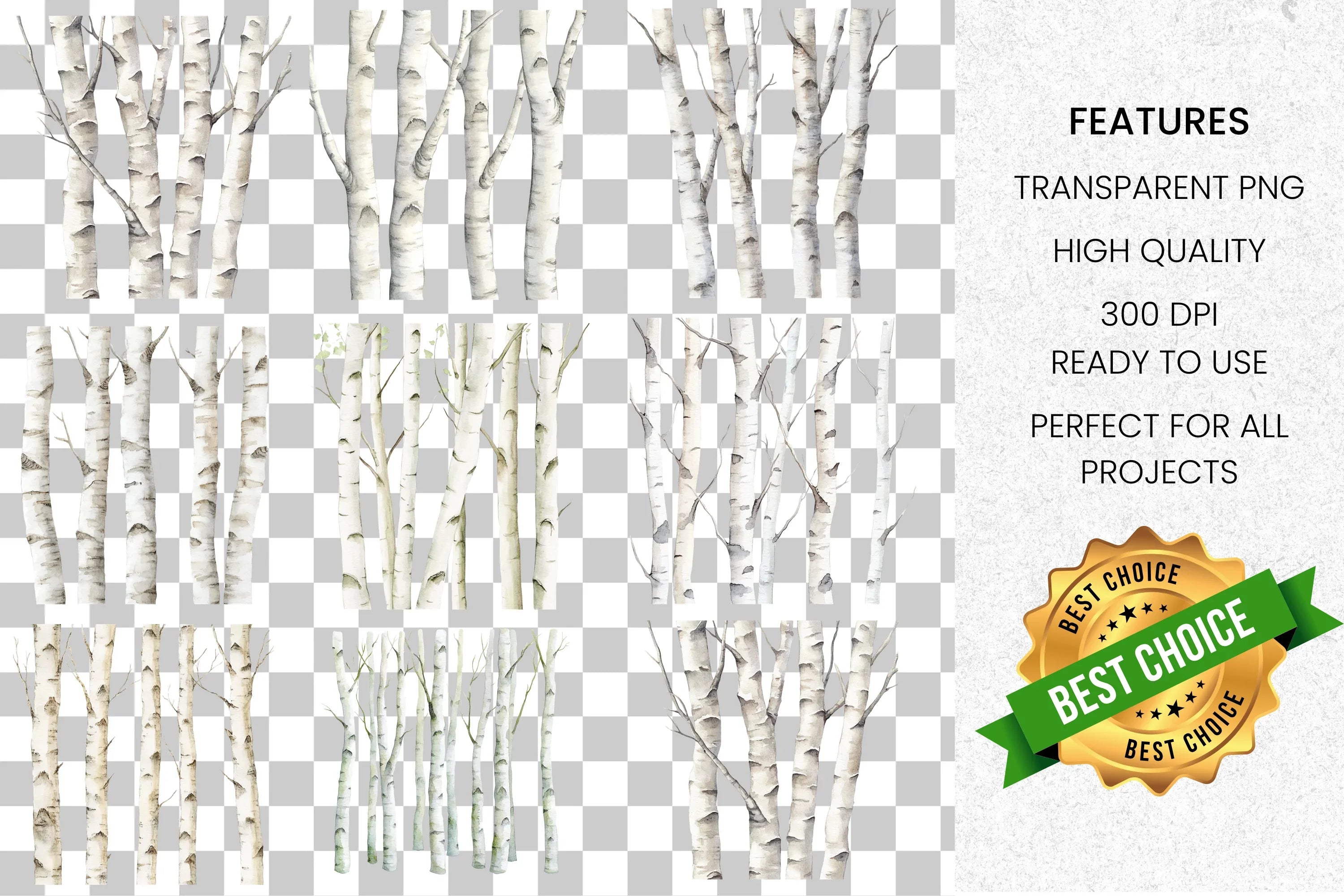 Birch Trees Forest Clipart Bundle