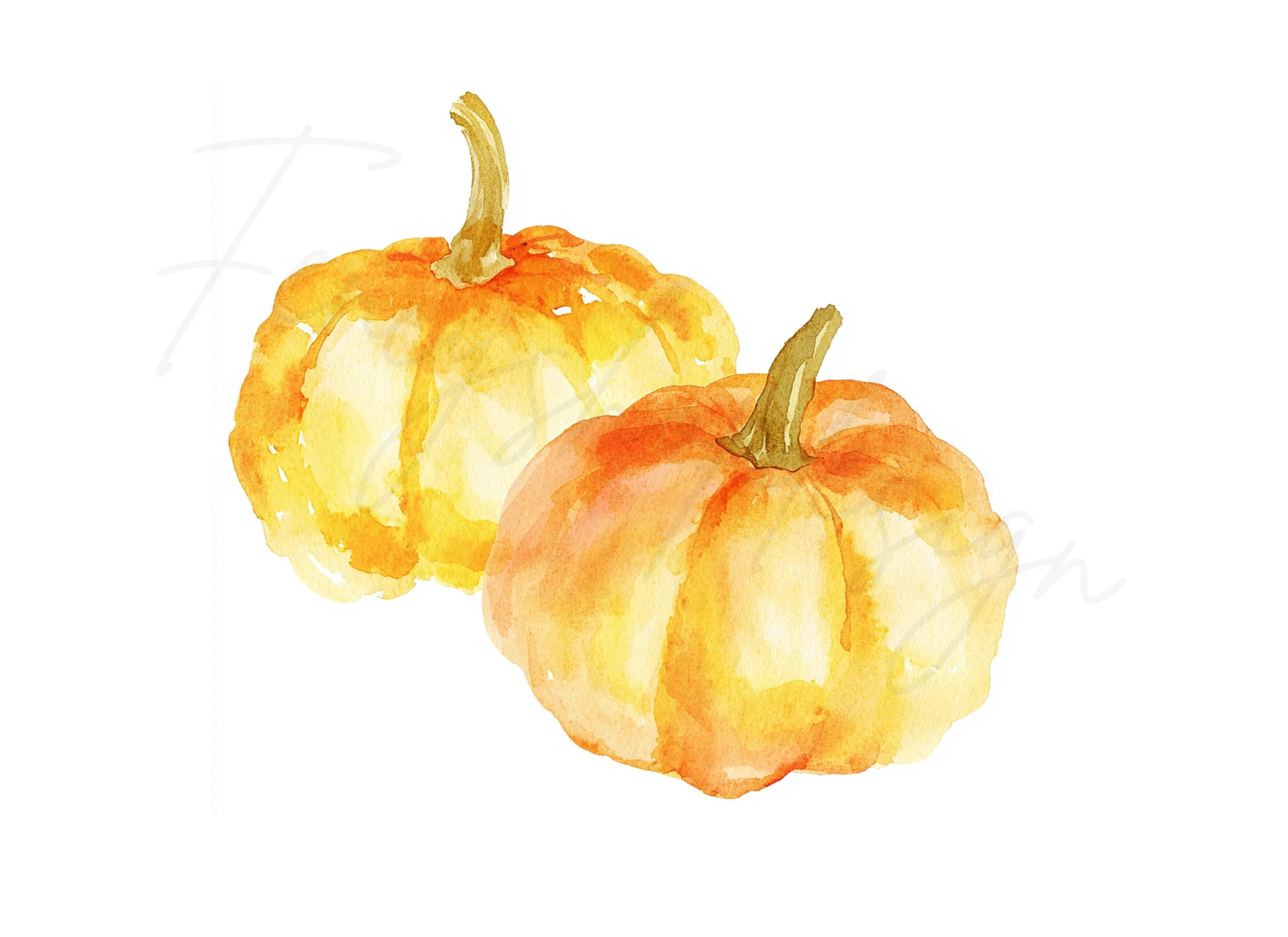 Hand Painted Pumpkins Clipart Bundle