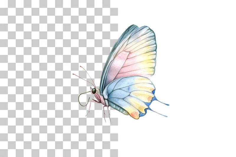 Colorful Butterfly Clipart Bundle - CraftNest - Digital Crafting and Art