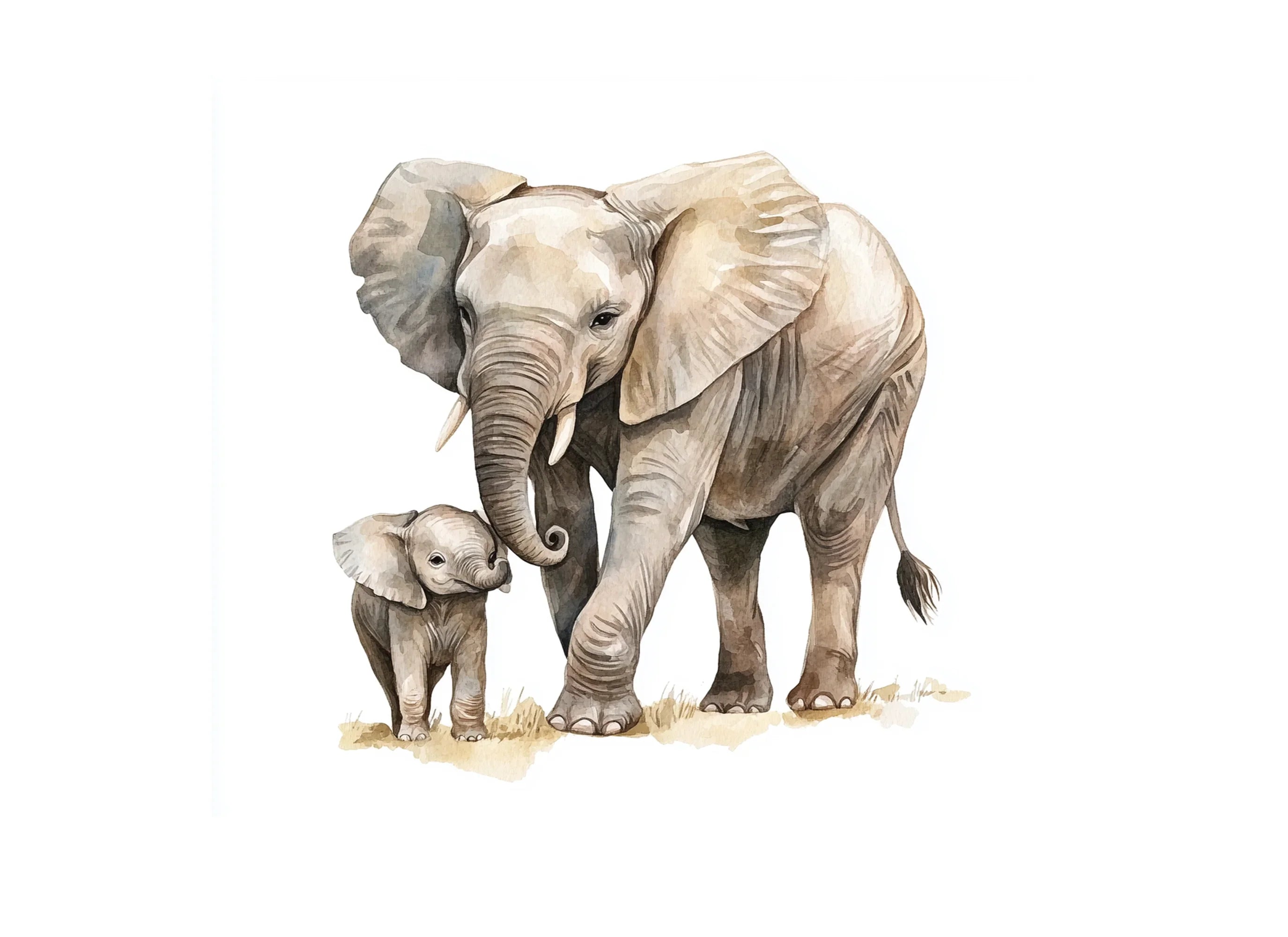 Elephant Mother and Baby Clipart Bundle
