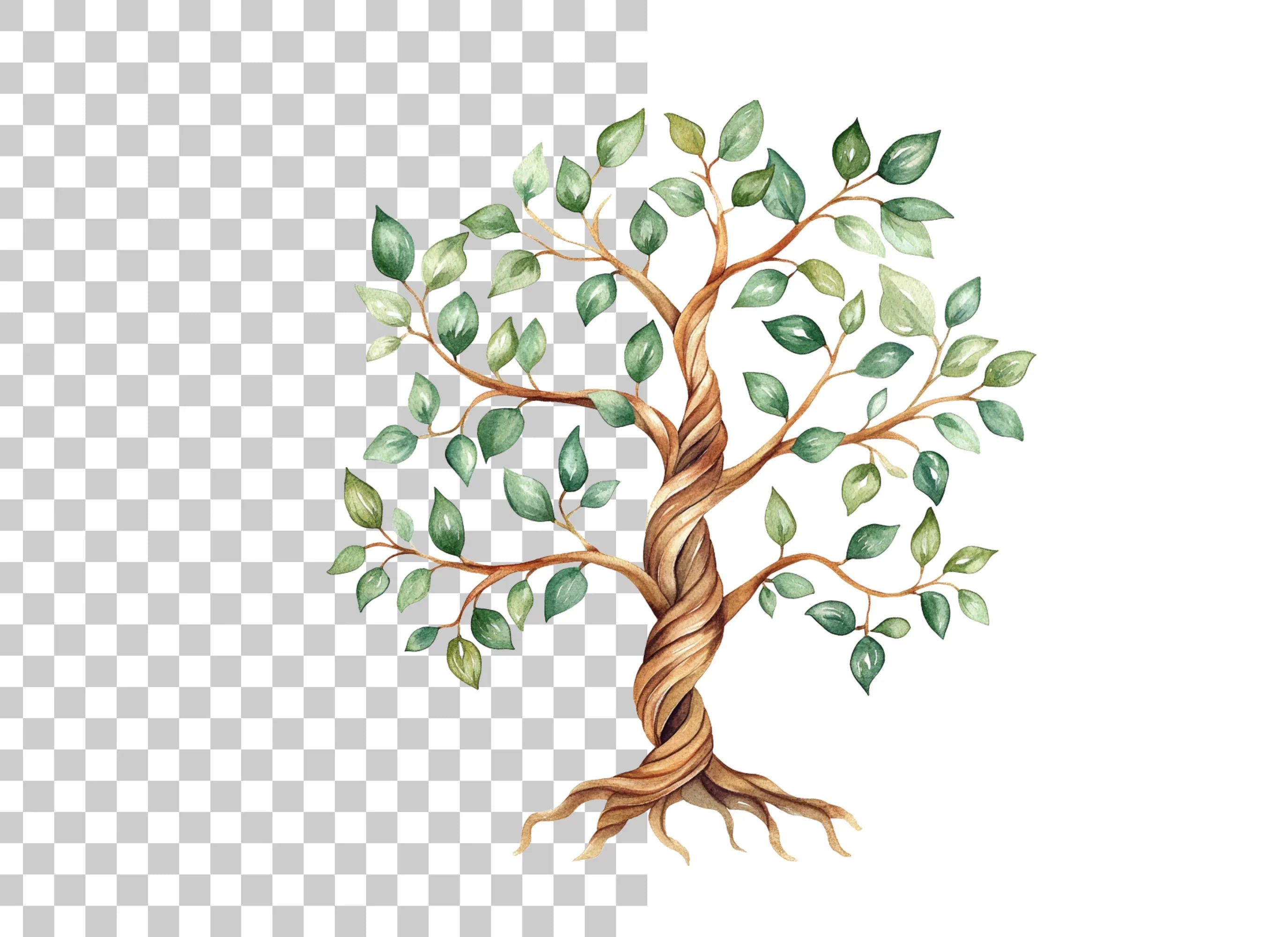 Tree of Life Clipart Bundle