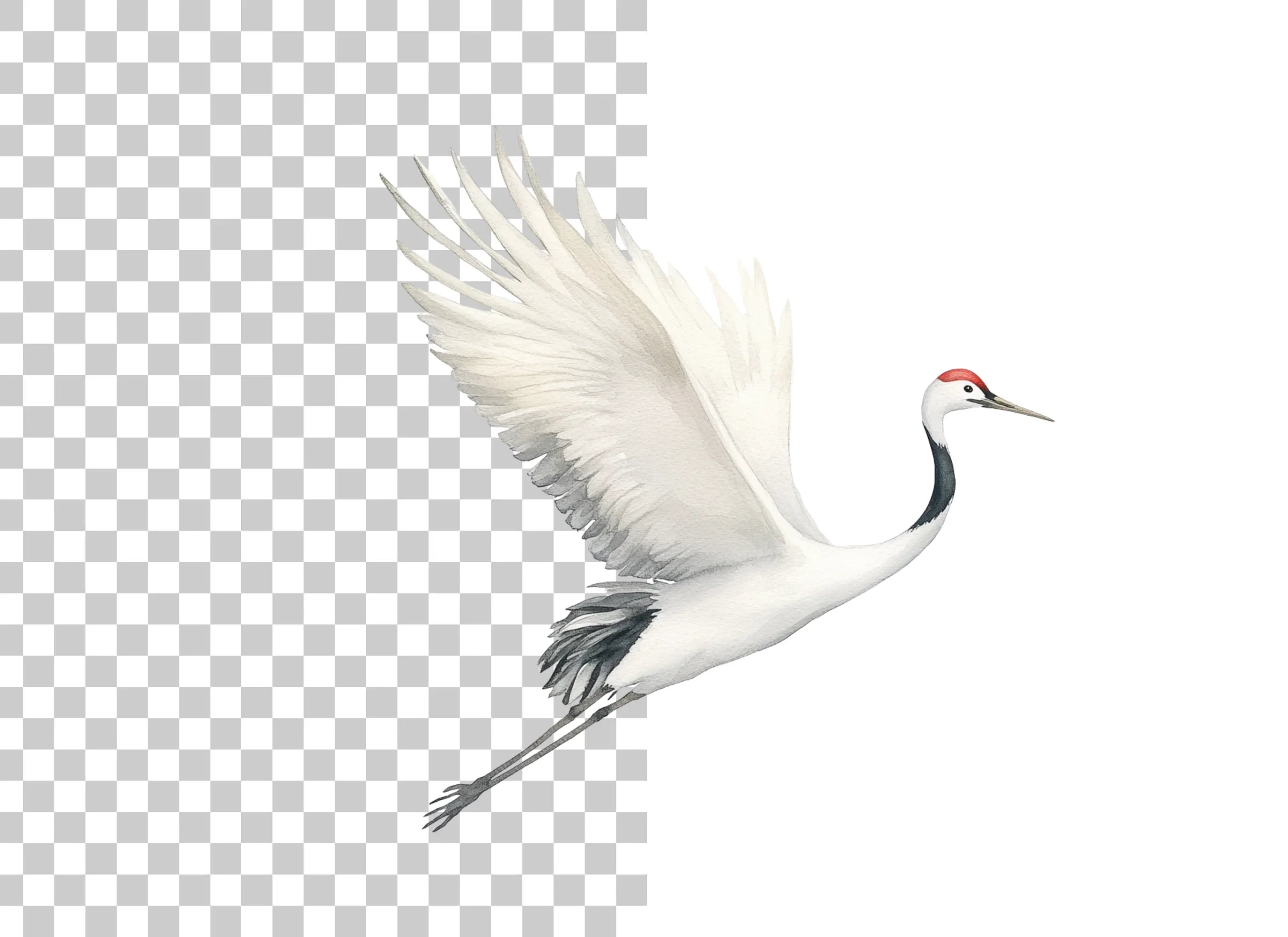 Flying Red Crowned Cranes Clipart Bundle