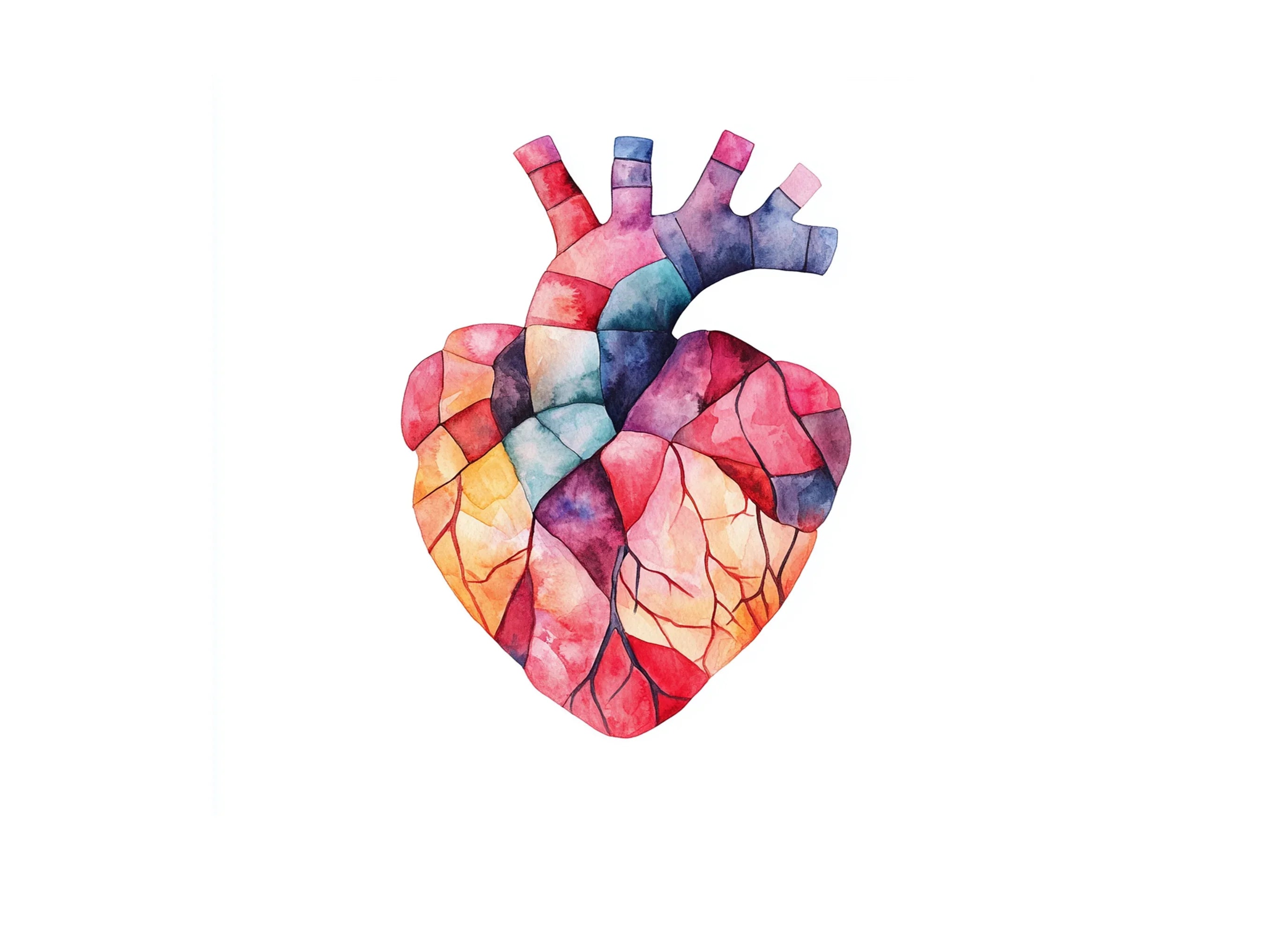 Geometric Human Heart Clipart Bundle