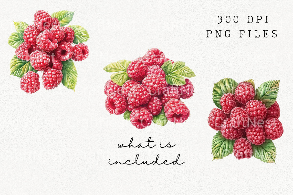 Raspberry And Leaves Clipart Bundle